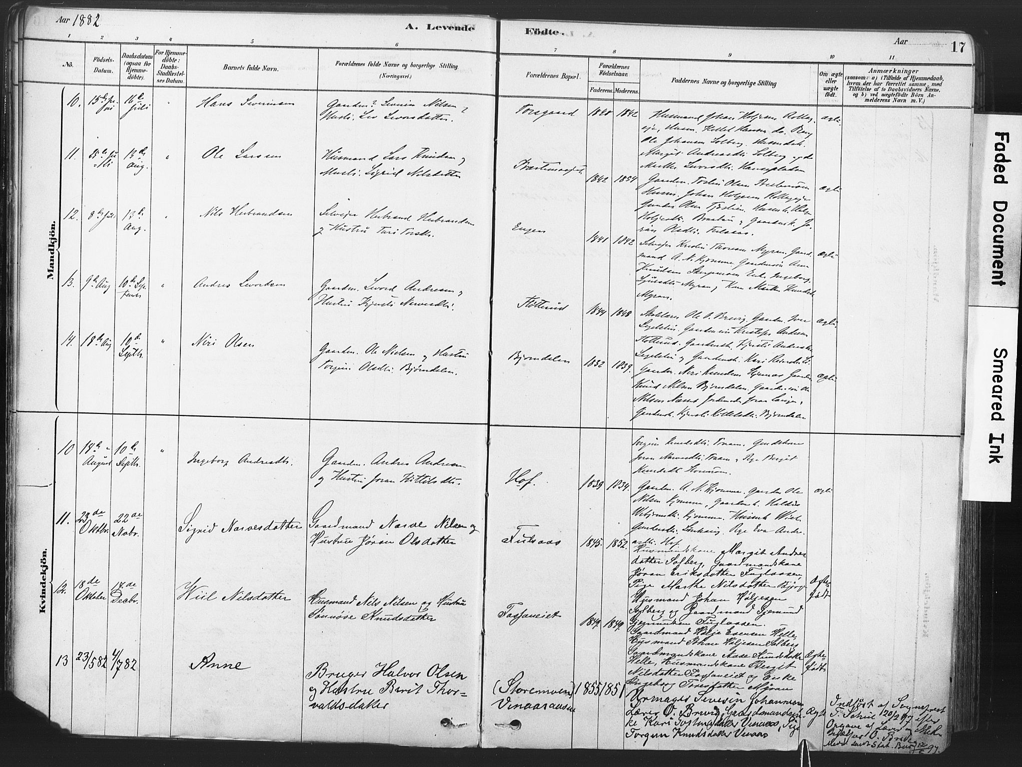 Rollag kirkebøker, AV/SAKO-A-240/F/Fa/L0011: Parish register (official) no. I 11, 1878-1902, p. 17