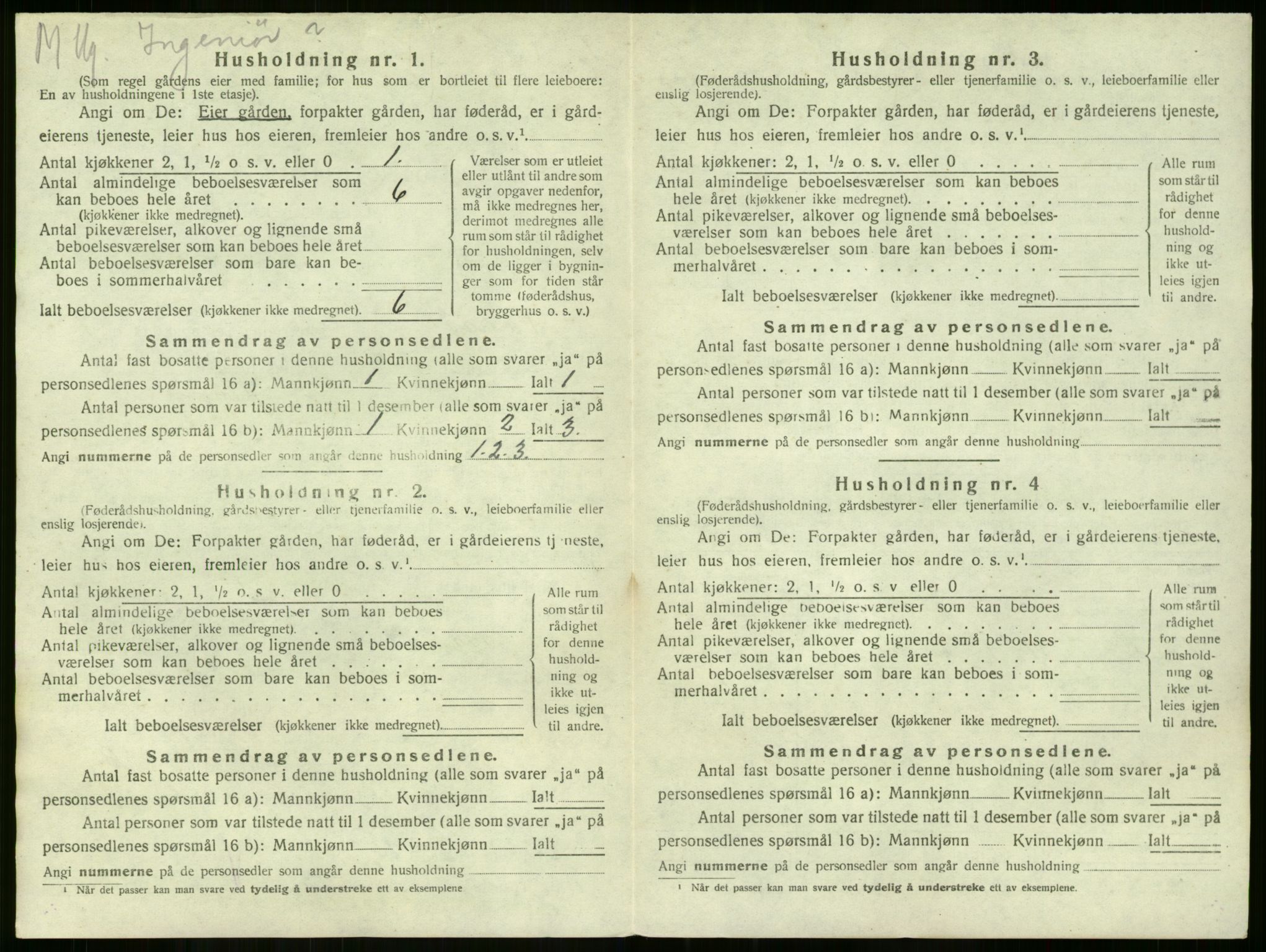 SAKO, 1920 census for Nøtterøy, 1920, p. 1495