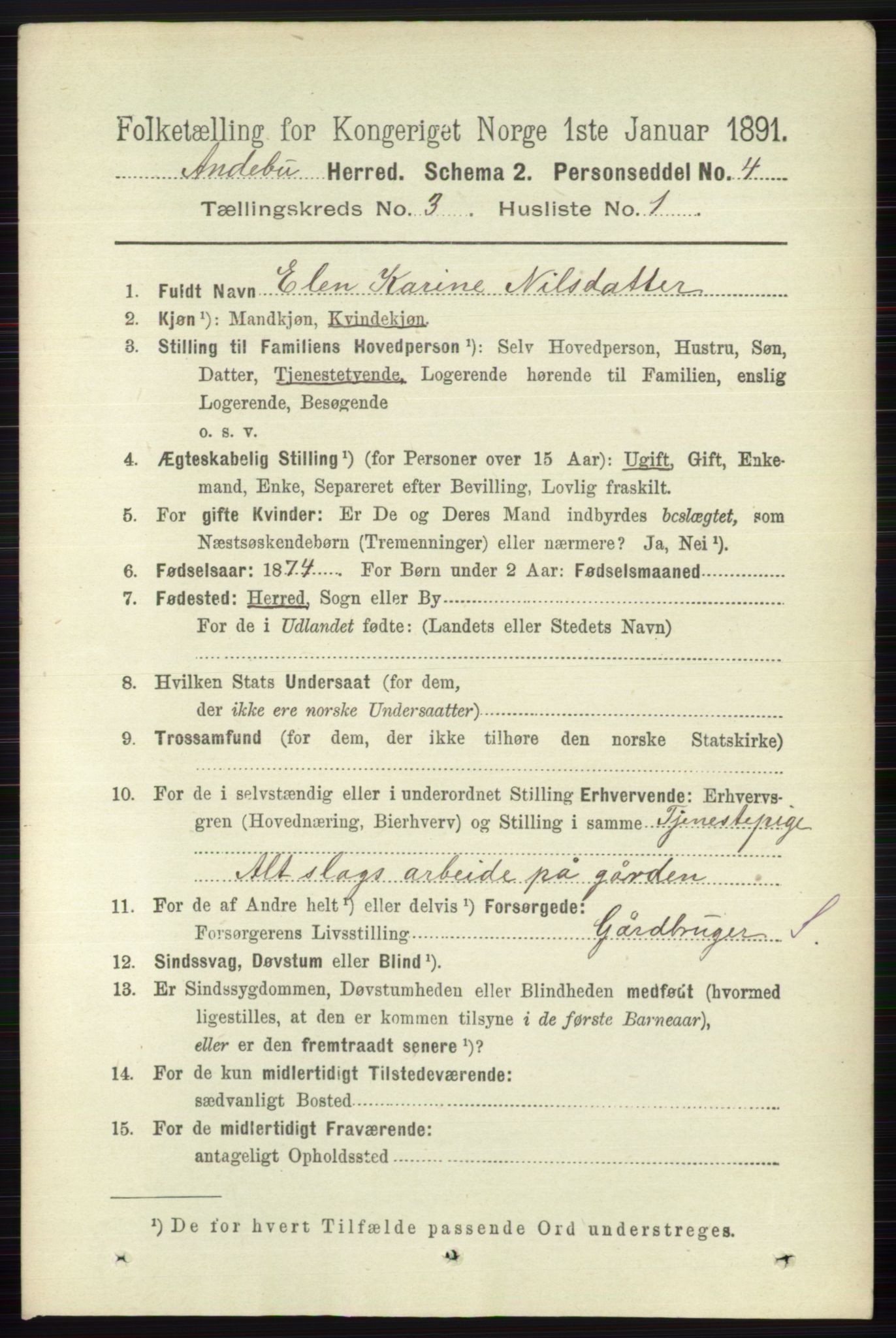 RA, 1891 census for 0719 Andebu, 1891, p. 1499