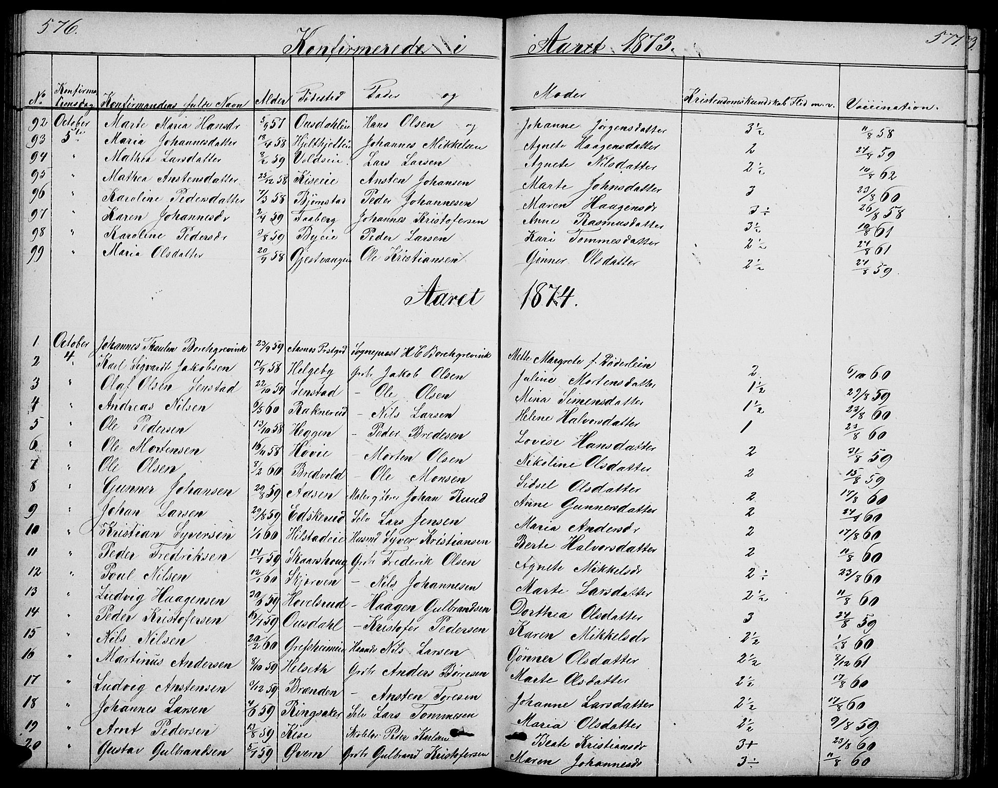 Nes prestekontor, Hedmark, SAH/PREST-020/L/La/L0005: Parish register (copy) no. 5, 1852-1889, p. 576-577