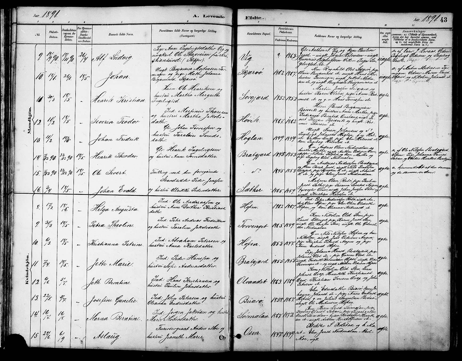Ministerialprotokoller, klokkerbøker og fødselsregistre - Sør-Trøndelag, SAT/A-1456/658/L0726: Parish register (copy) no. 658C02, 1883-1908, p. 43