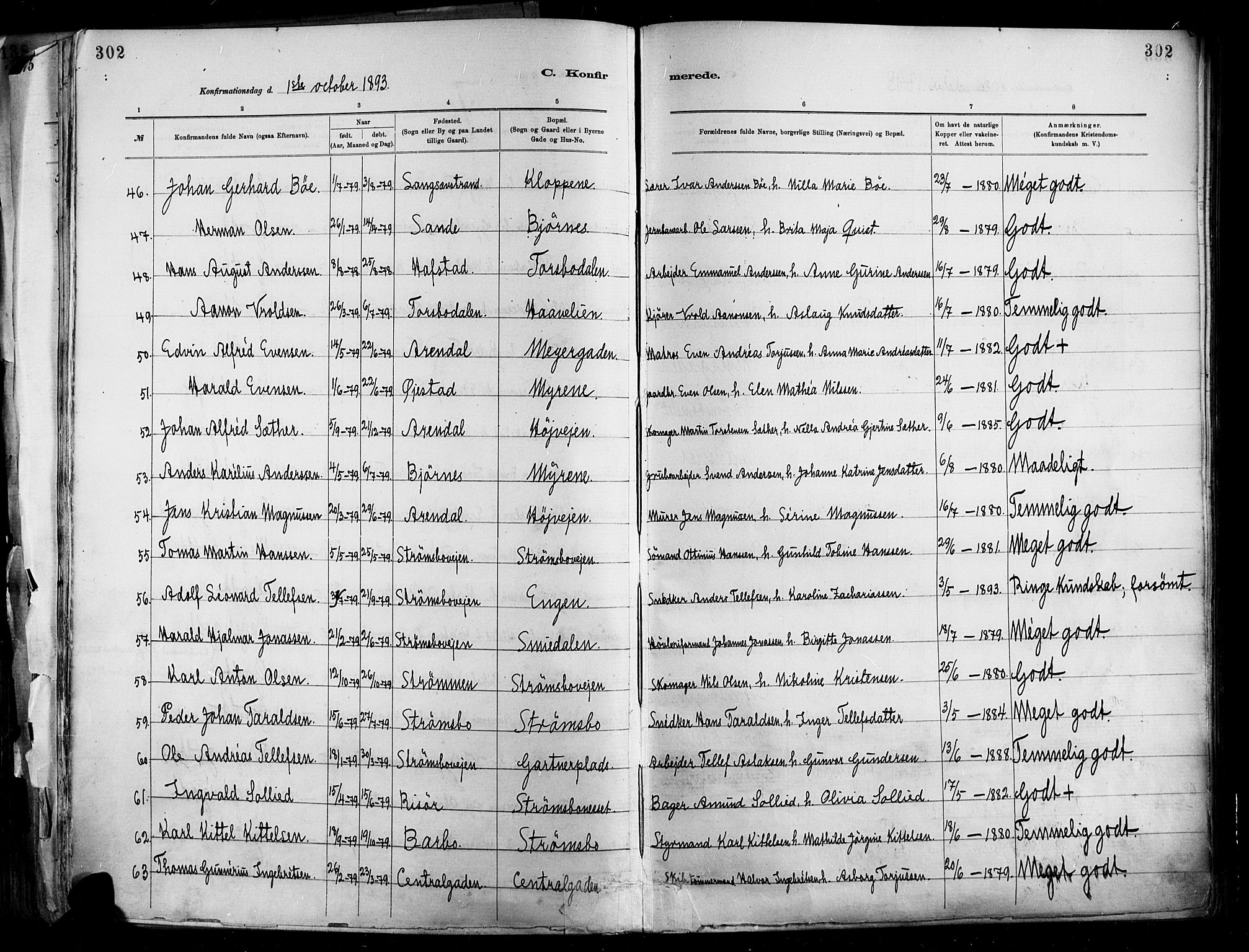 Barbu sokneprestkontor, AV/SAK-1111-0003/F/Fa/L0002: Parish register (official) no. A 2, 1883-1898, p. 302