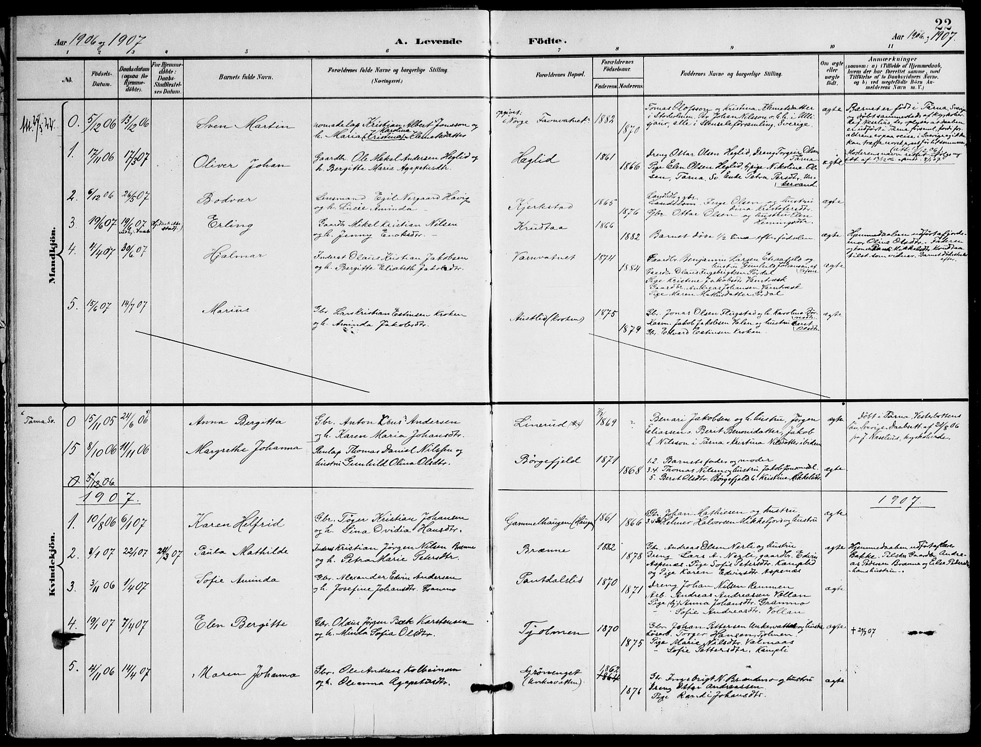 Ministerialprotokoller, klokkerbøker og fødselsregistre - Nordland, AV/SAT-A-1459/823/L0326: Parish register (official) no. 823A03, 1899-1919, p. 22