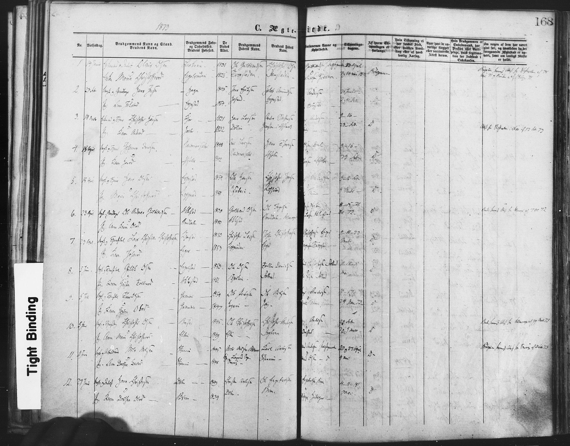 Nannestad prestekontor Kirkebøker, SAO/A-10414a/F/Fa/L0013: Parish register (official) no. I 13, 1873-1880, p. 168