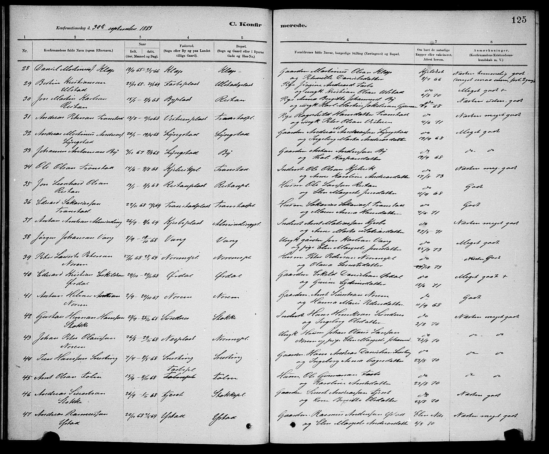 Ministerialprotokoller, klokkerbøker og fødselsregistre - Nord-Trøndelag, AV/SAT-A-1458/730/L0301: Parish register (copy) no. 730C04, 1880-1897, p. 125