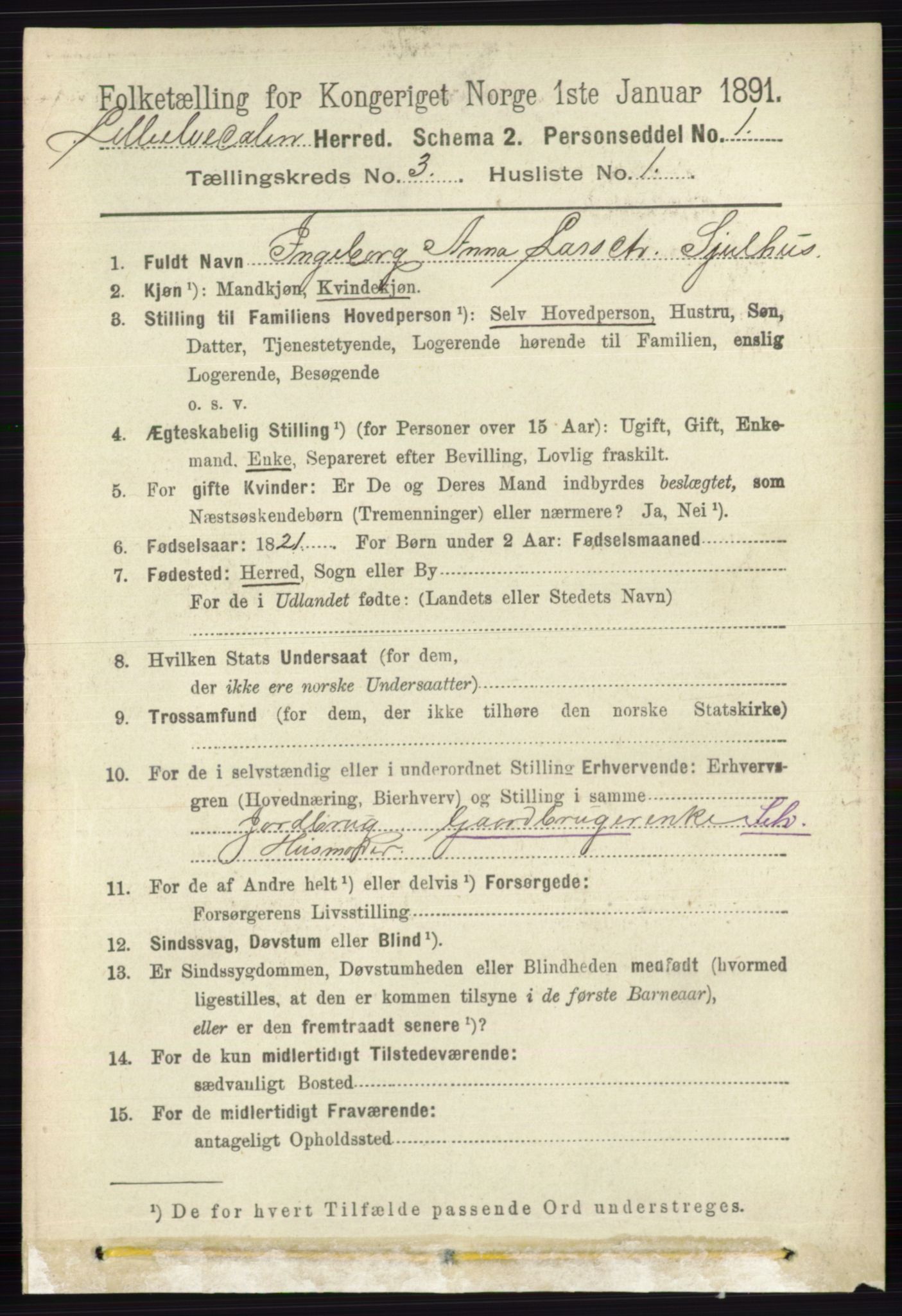 RA, 1891 census for 0438 Lille Elvedalen, 1891, p. 1029