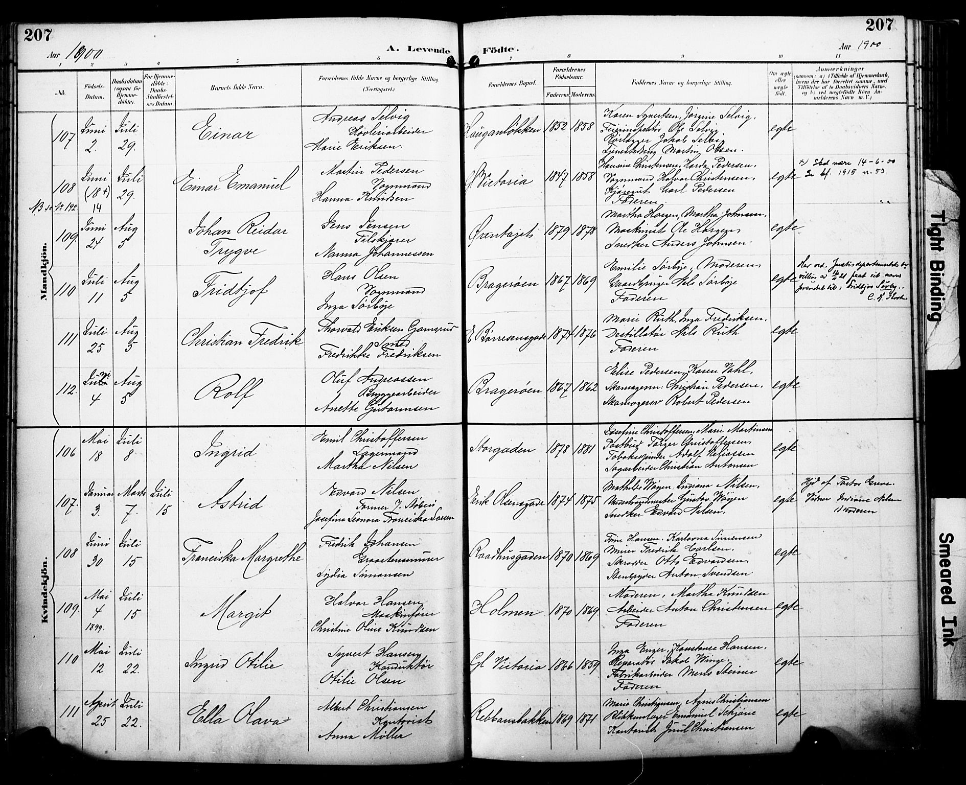 Bragernes kirkebøker, SAKO/A-6/F/Fb/L0008: Parish register (official) no. II 8, 1894-1902, p. 207