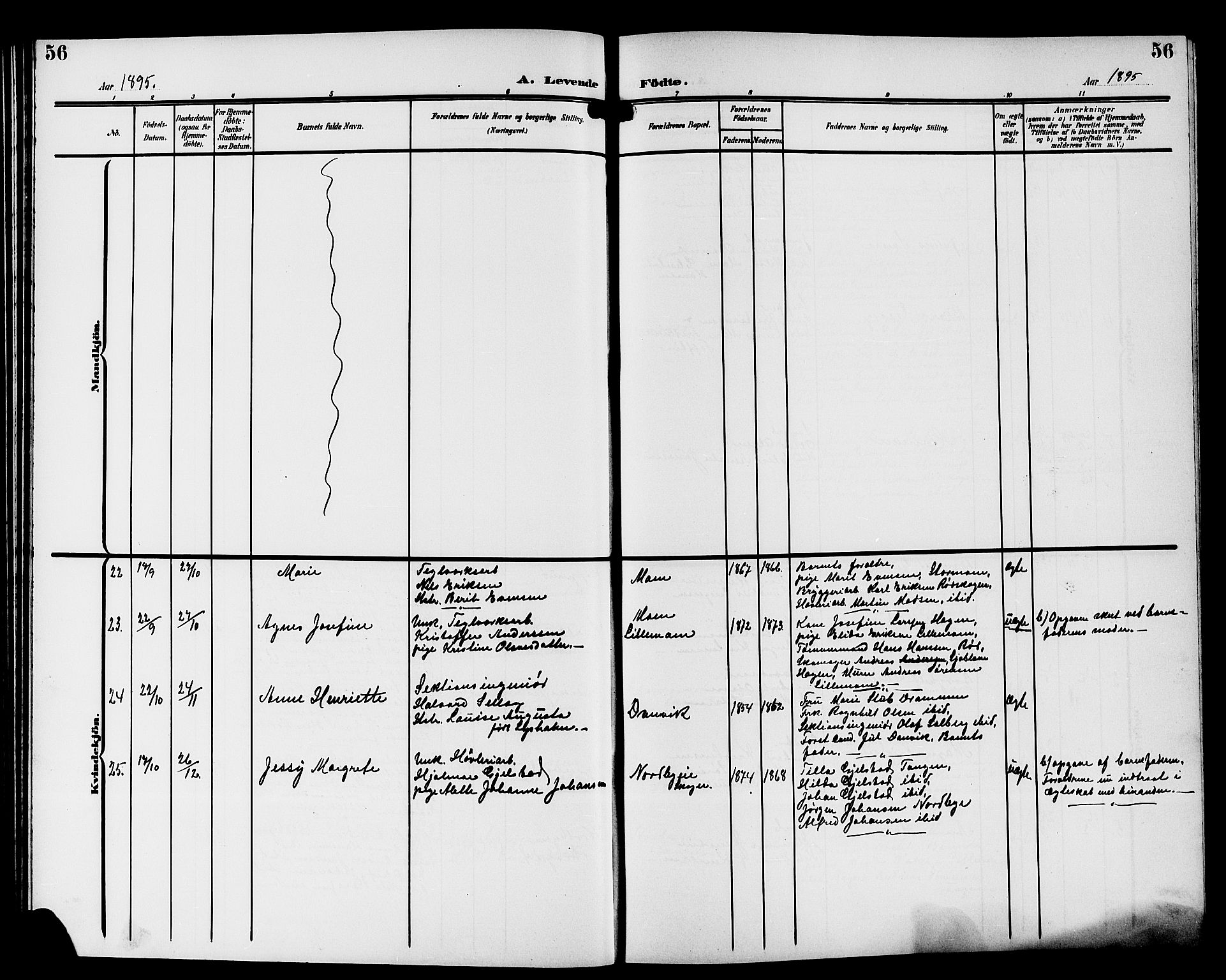 Strømsgodset kirkebøker, AV/SAKO-A-324/G/Ga/L0002: Parish register (copy) no. 2, 1885-1910, p. 56