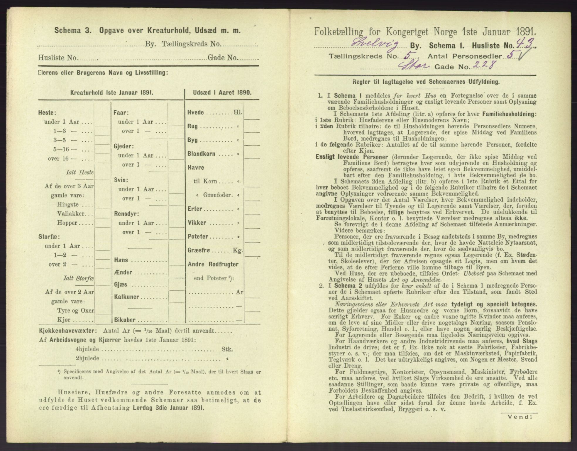 RA, 1891 census for 0701 Svelvik, 1891, p. 544