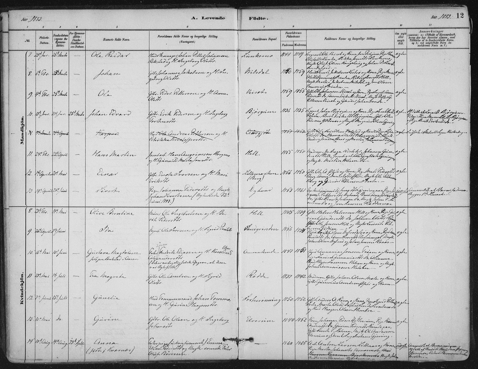 Ministerialprotokoller, klokkerbøker og fødselsregistre - Nord-Trøndelag, SAT/A-1458/710/L0095: Parish register (official) no. 710A01, 1880-1914, p. 12