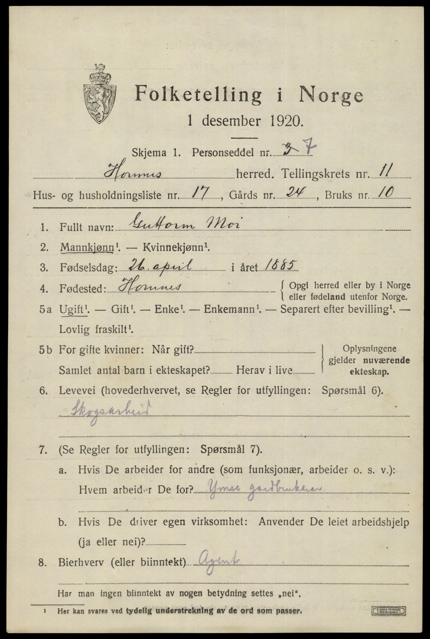 SAK, 1920 census for Hornnes, 1920, p. 2843