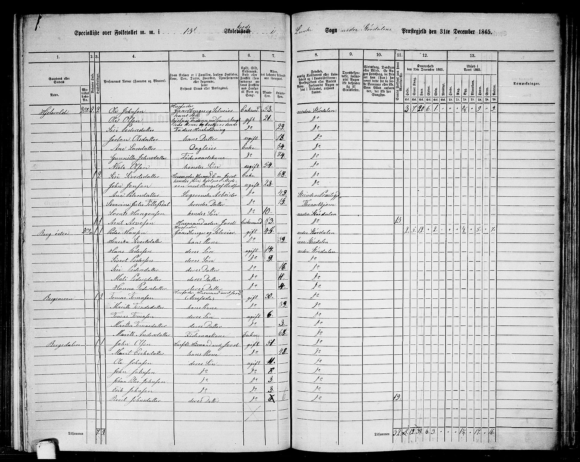 RA, 1865 census for Nedre Stjørdal, 1865, p. 237