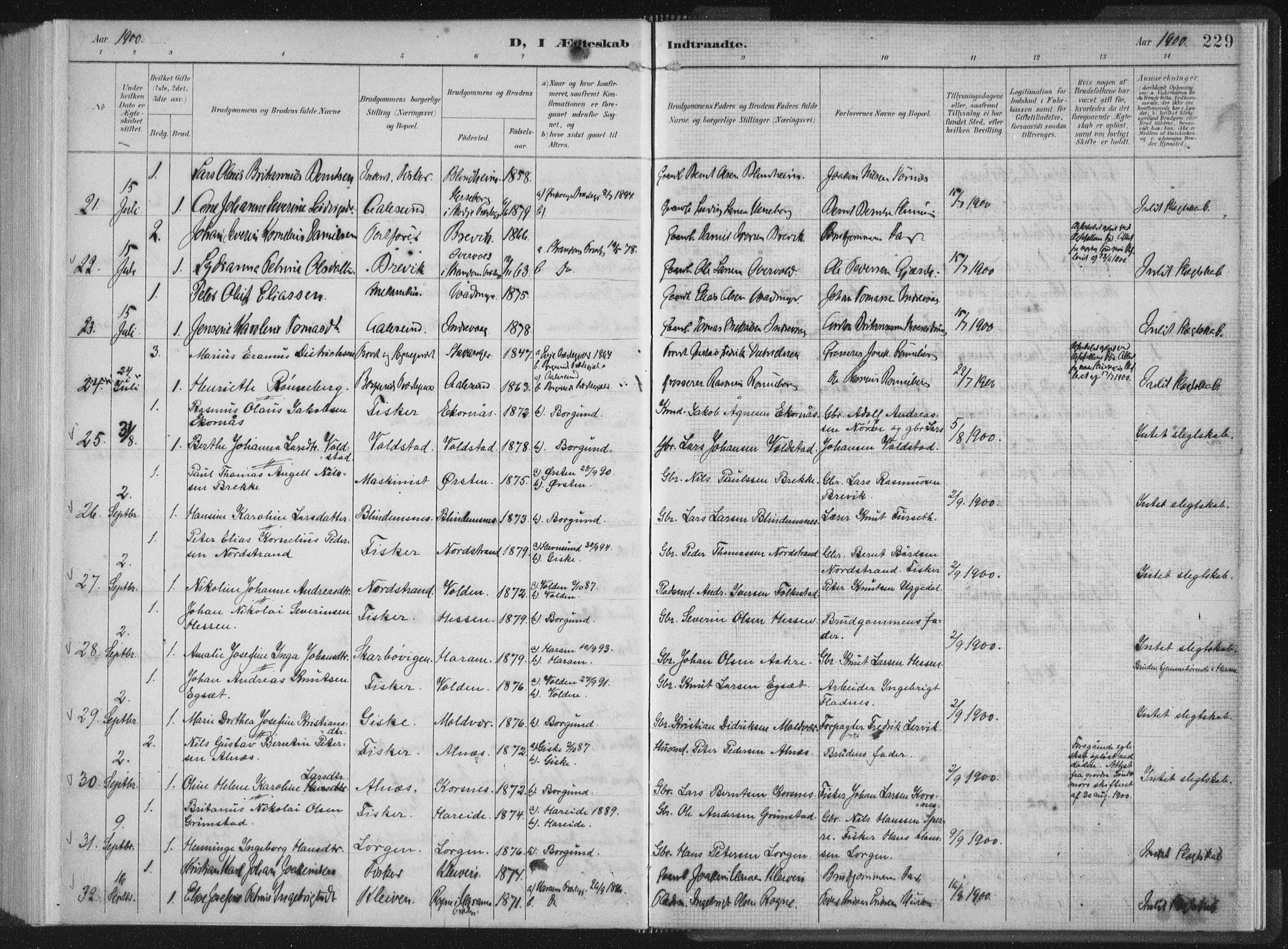 Ministerialprotokoller, klokkerbøker og fødselsregistre - Møre og Romsdal, AV/SAT-A-1454/528/L0405: Parish register (official) no. 528A14, 1891-1906, p. 229