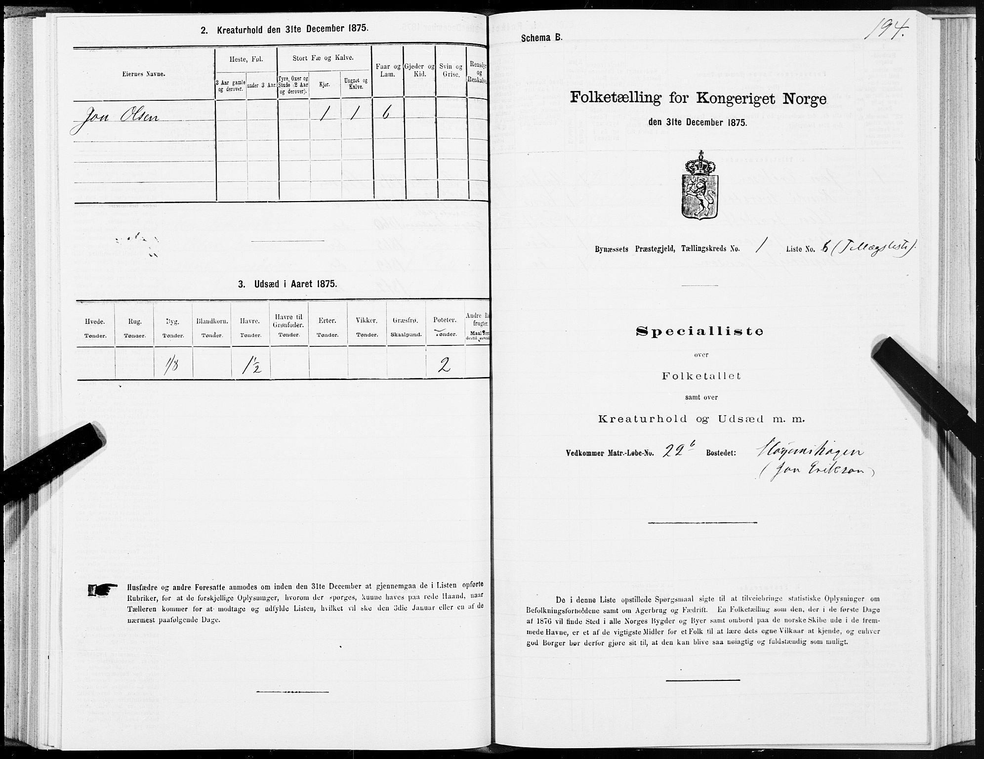 SAT, 1875 census for 1655P Byneset, 1875, p. 1194