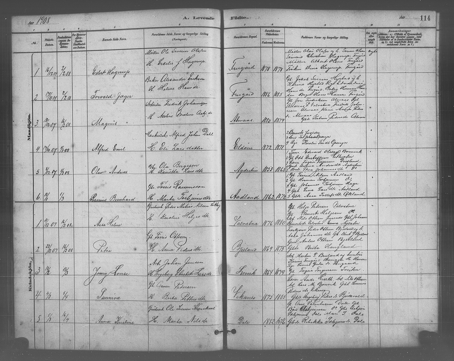 Stord sokneprestembete, SAB/A-78201/H/Hab: Parish register (copy) no. A 2, 1879-1909, p. 114