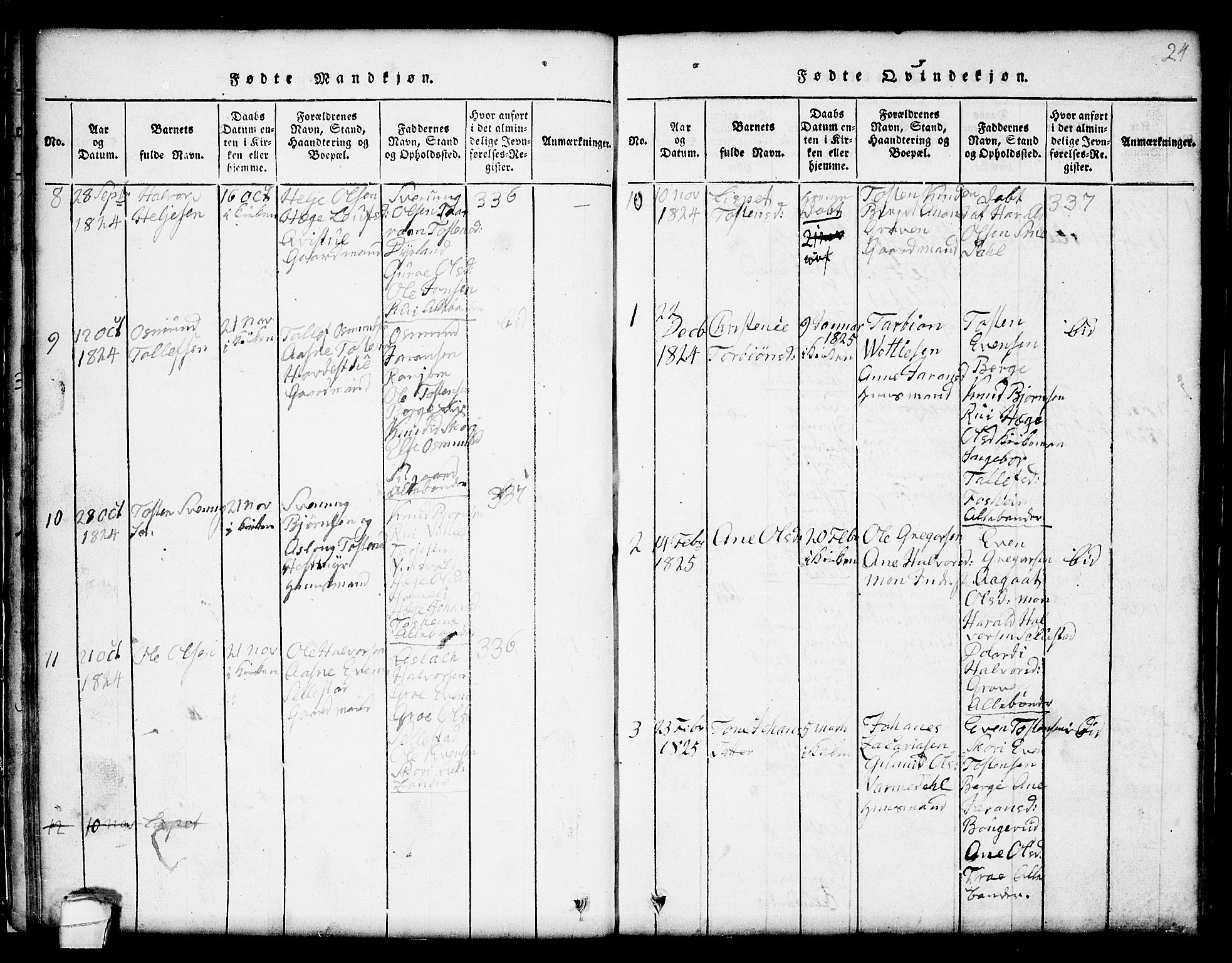 Seljord kirkebøker, SAKO/A-20/G/Gc/L0001: Parish register (copy) no. III 1, 1815-1849, p. 24