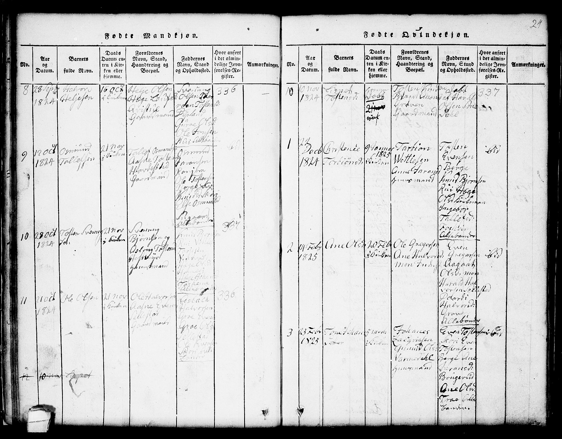 Seljord kirkebøker, AV/SAKO-A-20/G/Gc/L0001: Parish register (copy) no. III 1, 1815-1849, p. 24