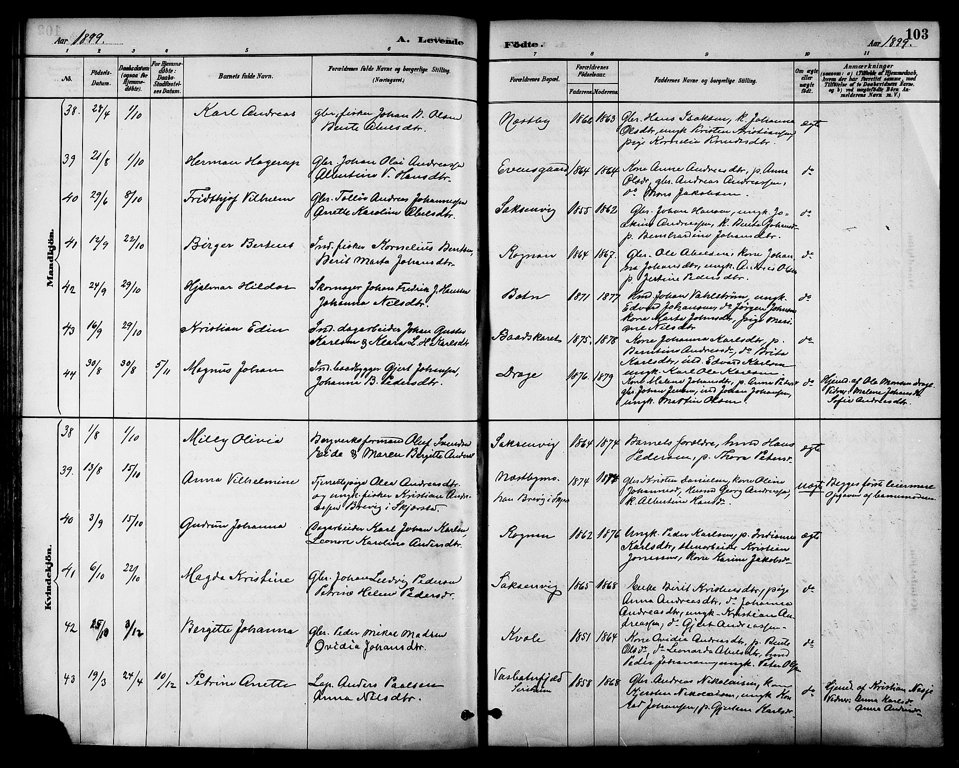 Ministerialprotokoller, klokkerbøker og fødselsregistre - Nordland, AV/SAT-A-1459/847/L0669: Parish register (official) no. 847A09, 1887-1901, p. 103