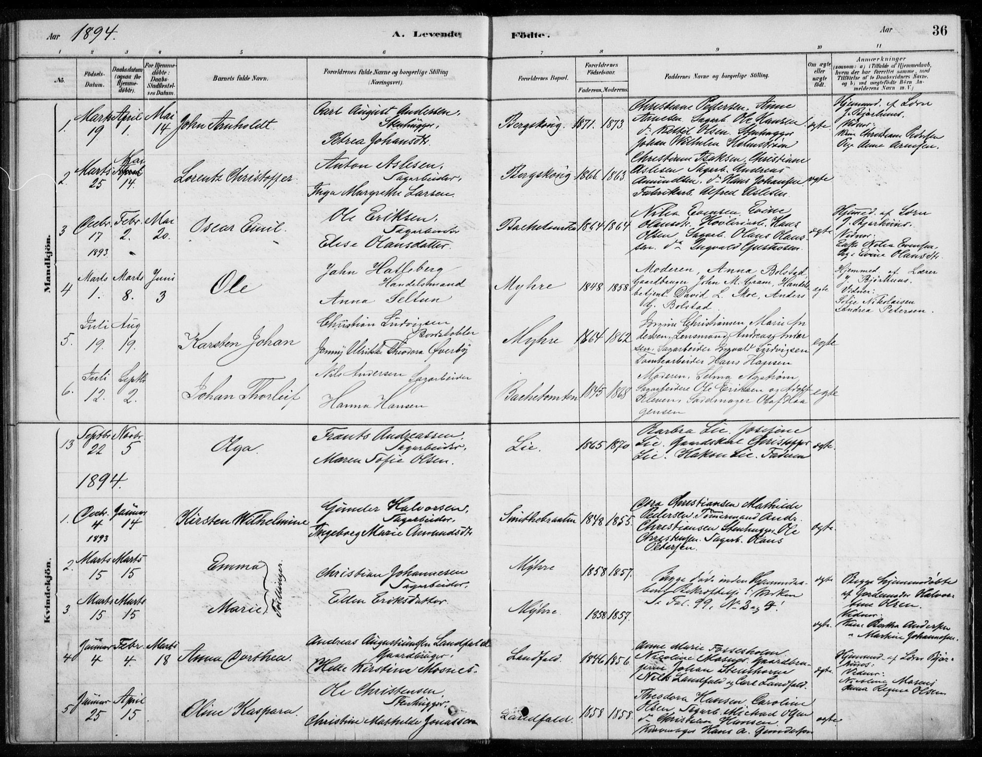 Åssiden kirkebøker, SAKO/A-251/F/Fa/L0001: Parish register (official) no. 1, 1878-1904, p. 36