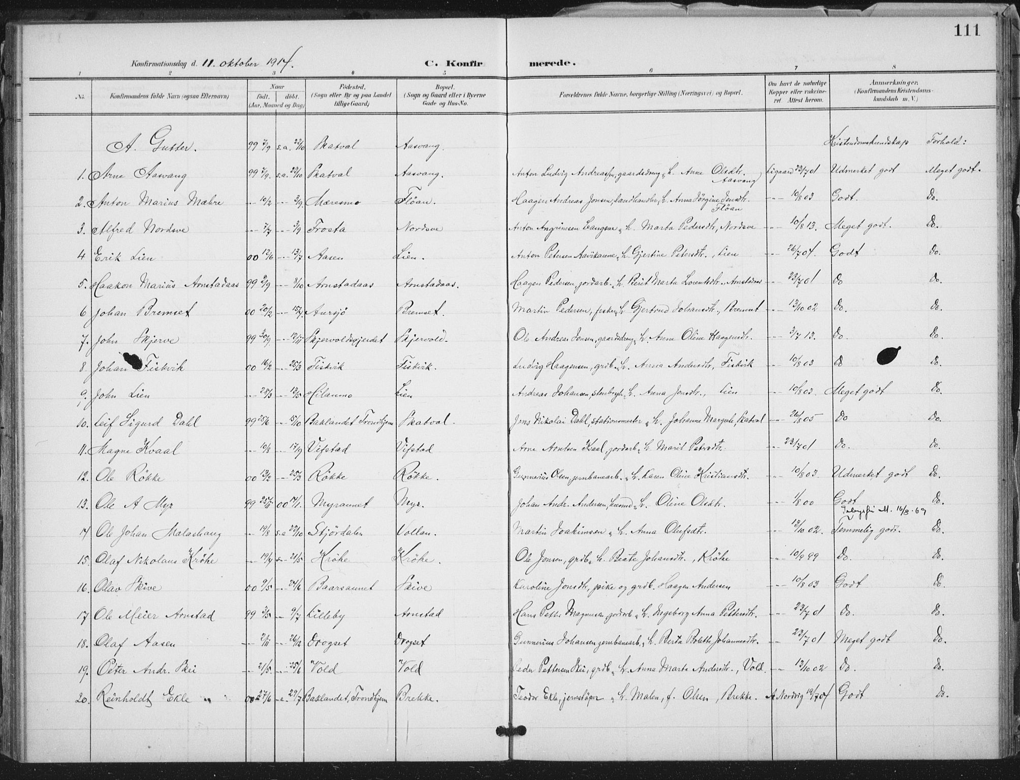 Ministerialprotokoller, klokkerbøker og fødselsregistre - Nord-Trøndelag, AV/SAT-A-1458/712/L0101: Parish register (official) no. 712A02, 1901-1916, p. 111