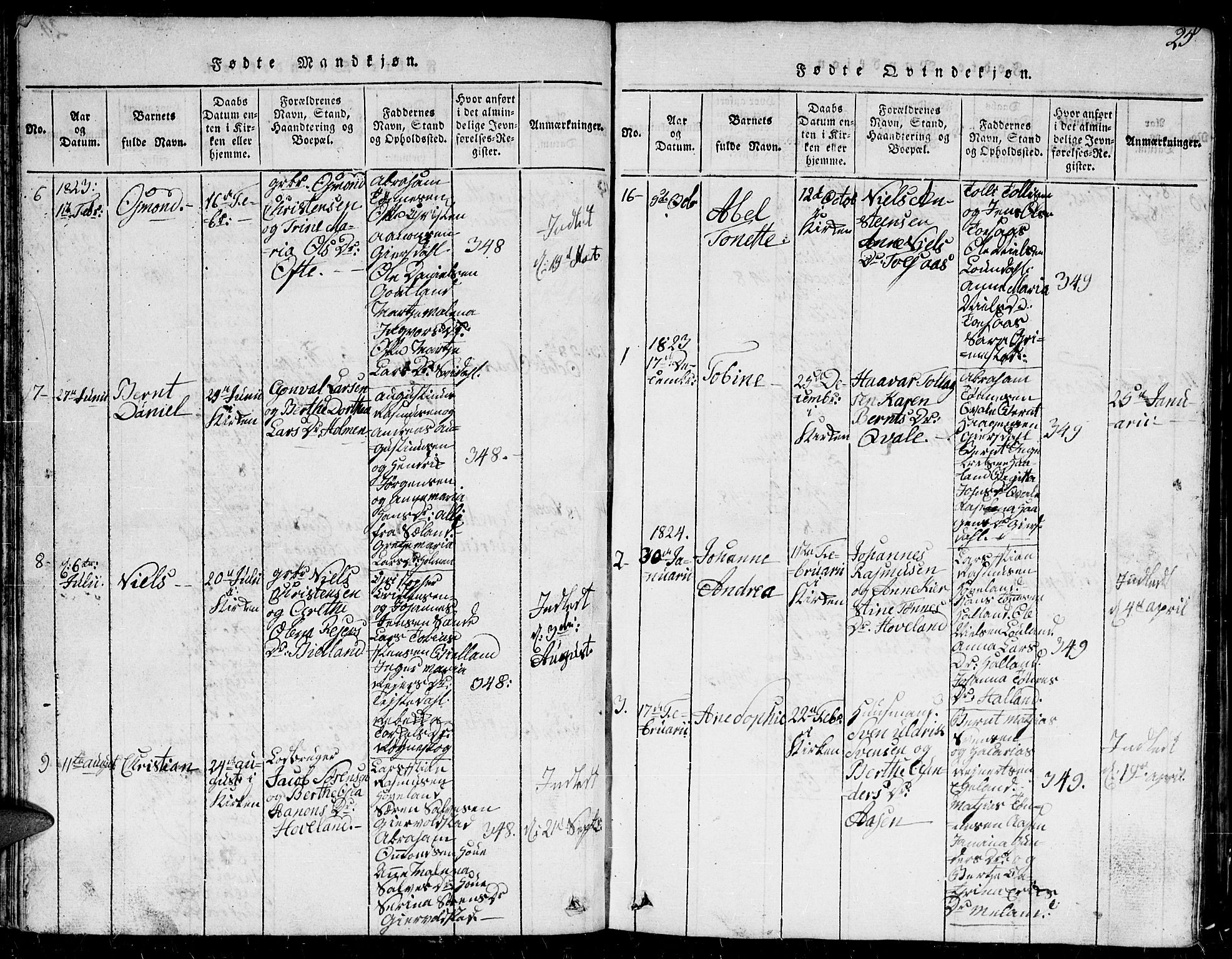 Herad sokneprestkontor, AV/SAK-1111-0018/F/Fb/Fba/L0001: Parish register (copy) no. B 1, 1815-1852, p. 25