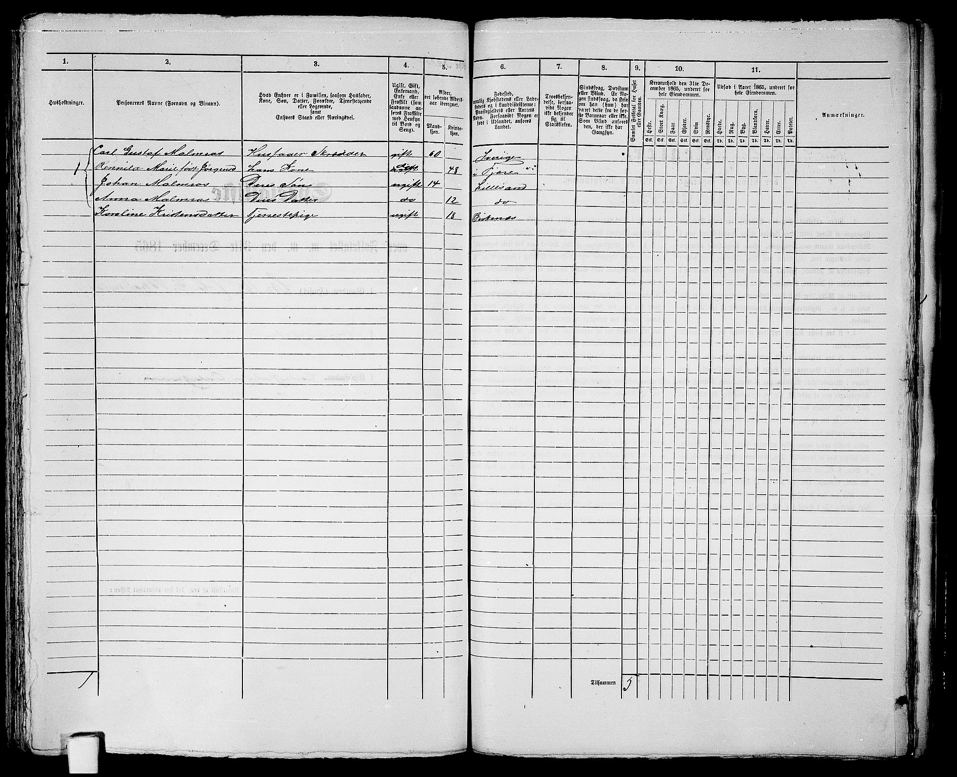 RA, 1865 census for Vestre Moland/Lillesand, 1865, p. 310