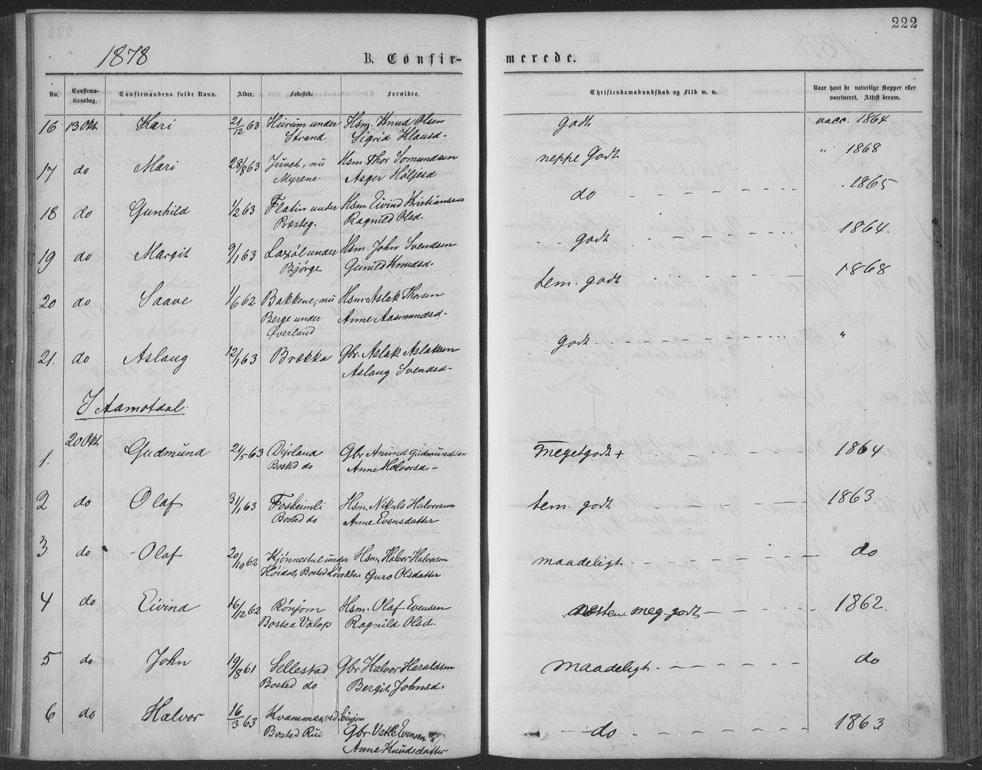 Seljord kirkebøker, SAKO/A-20/F/Fa/L0014: Parish register (official) no. I 14, 1877-1886, p. 222