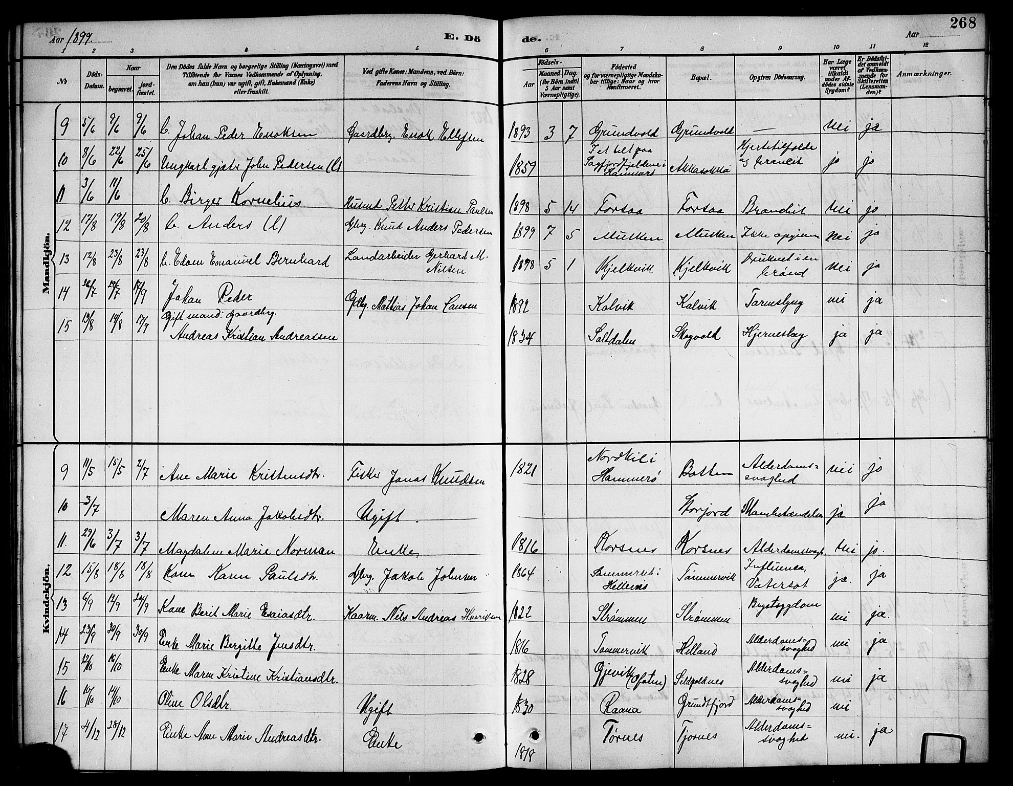 Ministerialprotokoller, klokkerbøker og fødselsregistre - Nordland, AV/SAT-A-1459/861/L0876: Parish register (copy) no. 861C02, 1887-1903, p. 268