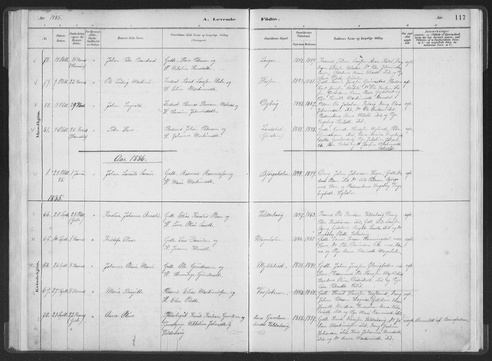 Ministerialprotokoller, klokkerbøker og fødselsregistre - Møre og Romsdal, AV/SAT-A-1454/528/L0401: Parish register (official) no. 528A12I, 1880-1920, p. 117