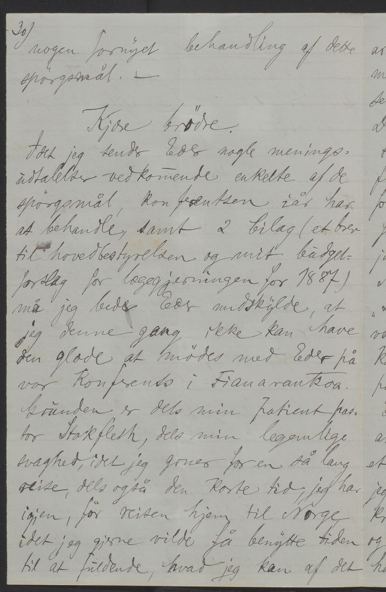 Det Norske Misjonsselskap - hovedadministrasjonen, VID/MA-A-1045/D/Da/Daa/L0036/0011: Konferansereferat og årsberetninger / Konferansereferat fra Madagaskar Innland., 1886, p. 30