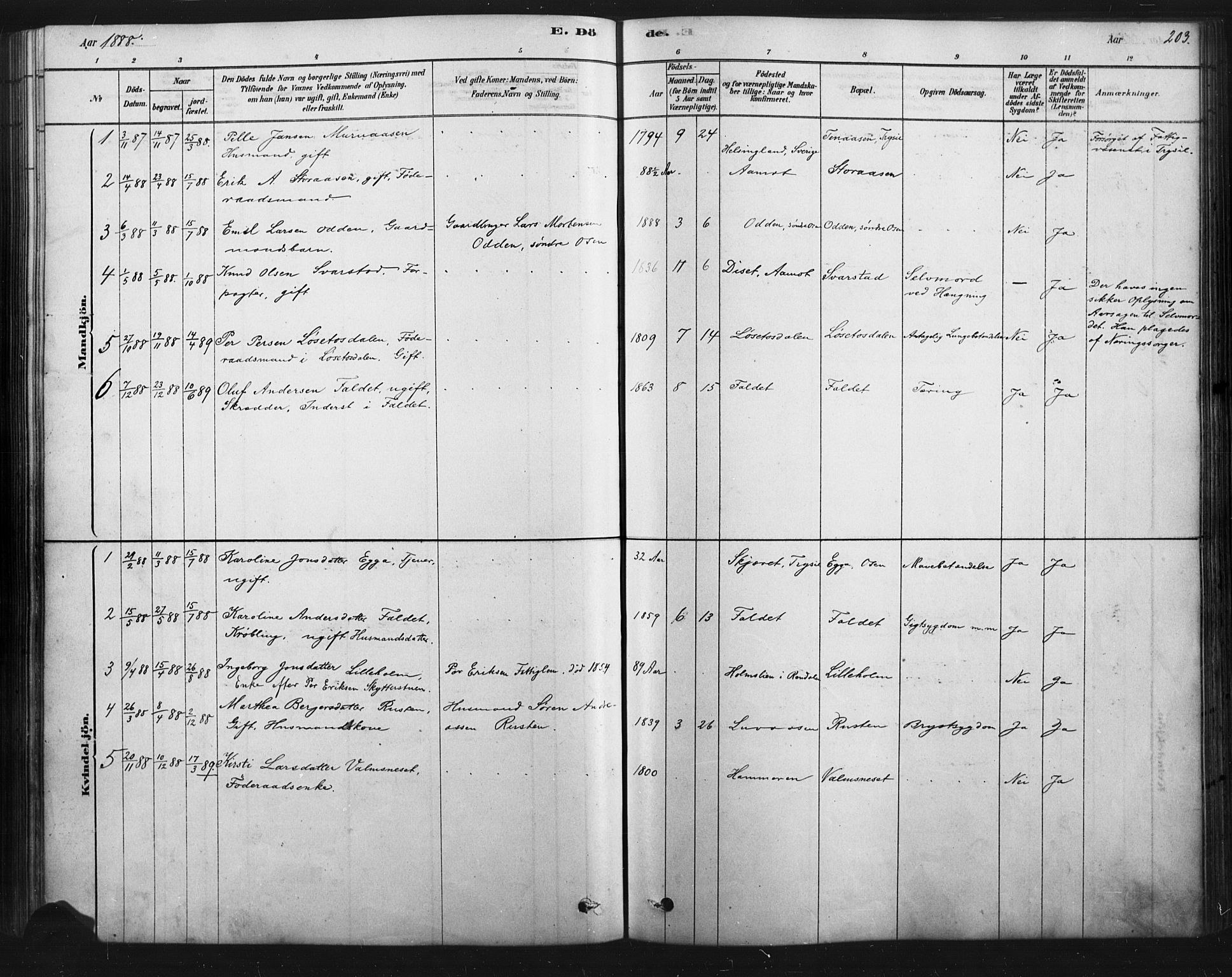 Åmot prestekontor, Hedmark, SAH/PREST-056/H/Ha/Haa/L0012: Parish register (official) no. 12, 1878-1901, p. 203