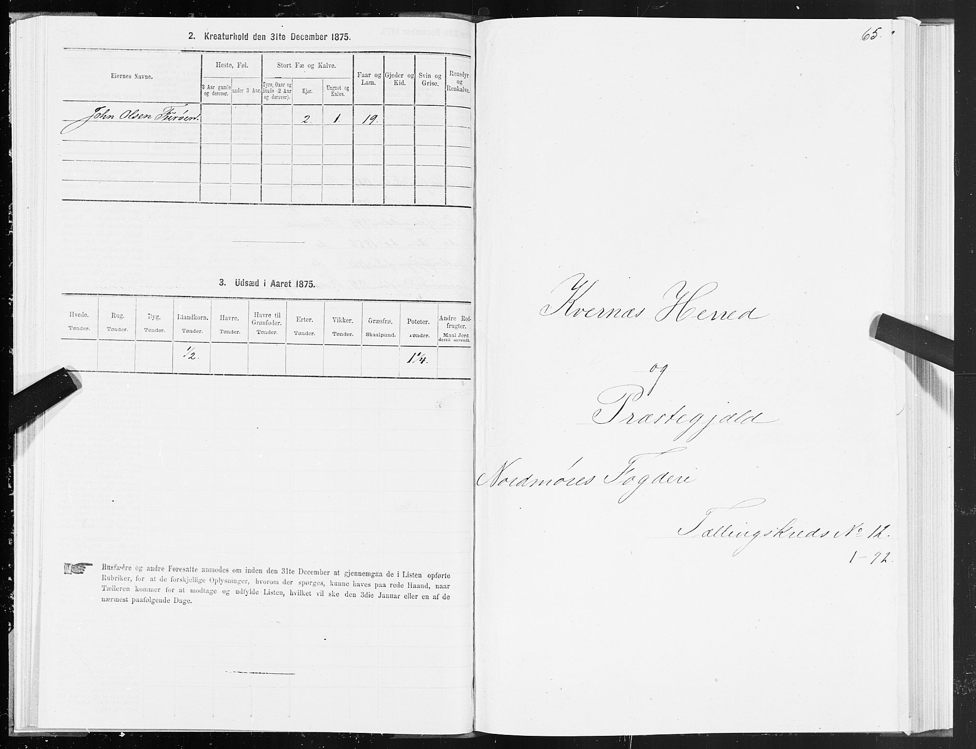 SAT, 1875 census for 1553P Kvernes, 1875, p. 6065