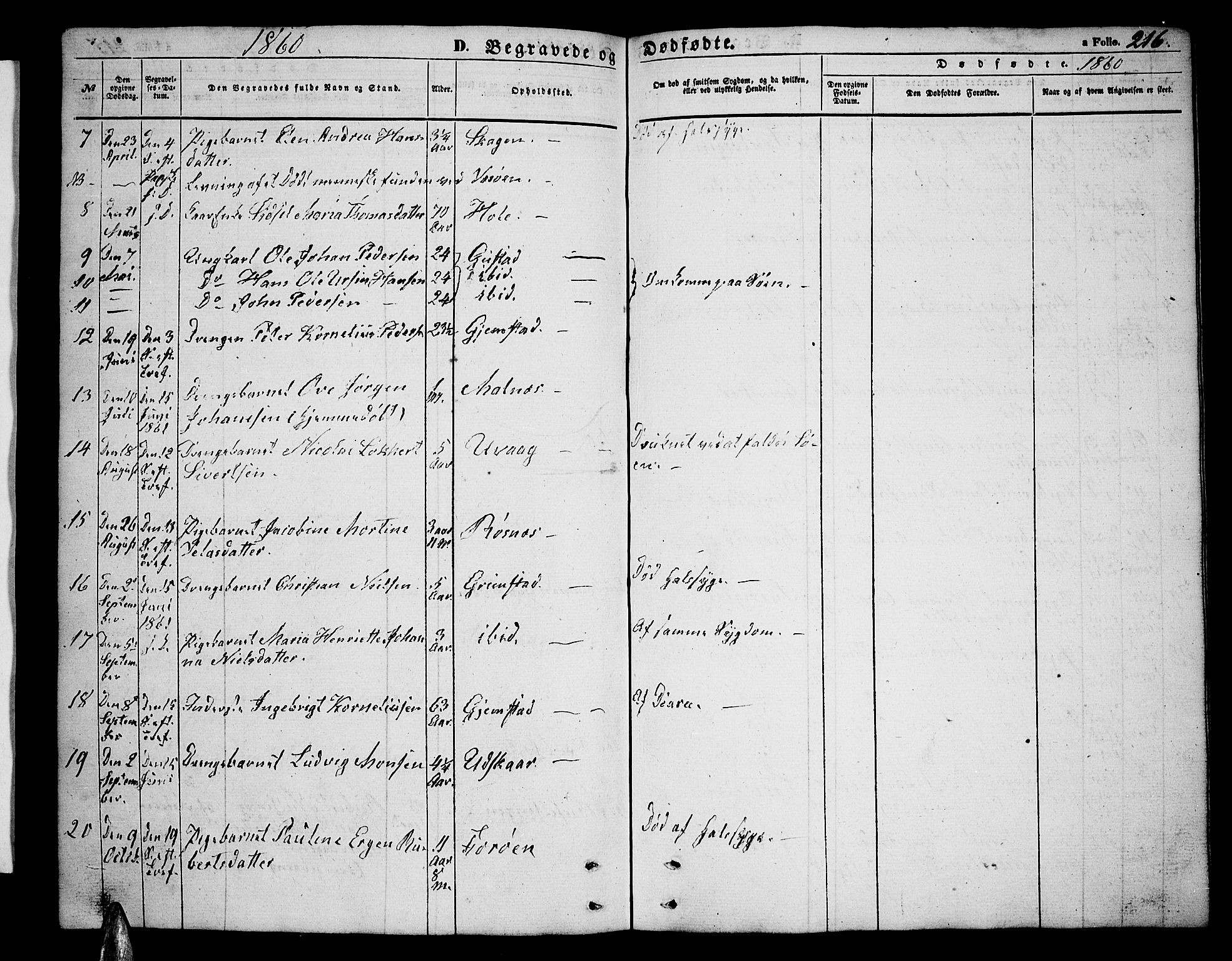 Ministerialprotokoller, klokkerbøker og fødselsregistre - Nordland, AV/SAT-A-1459/891/L1313: Parish register (copy) no. 891C02, 1856-1870, p. 216