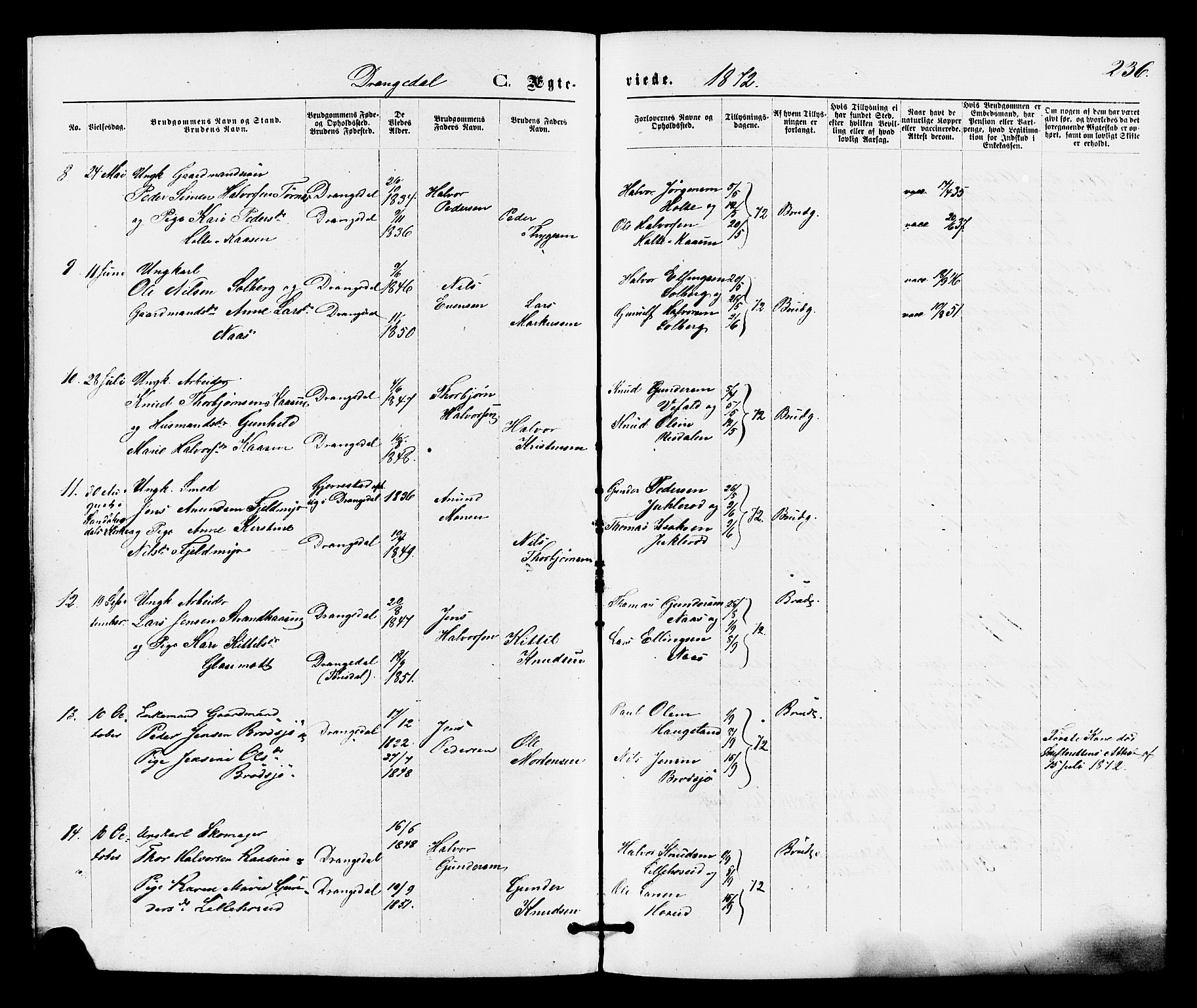 Drangedal kirkebøker, SAKO/A-258/F/Fa/L0009: Parish register (official) no. 9 /1, 1872-1884, p. 236