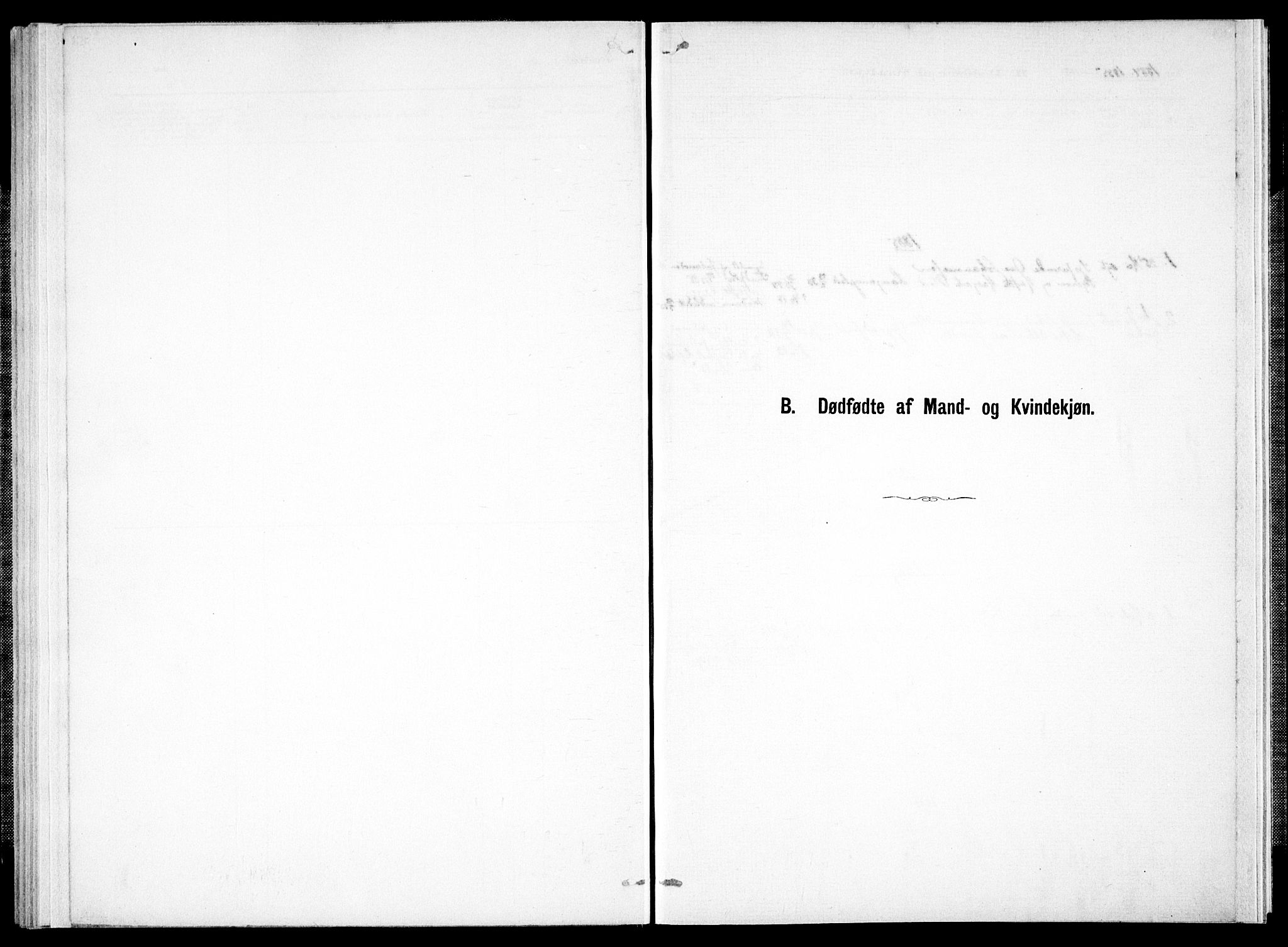 Ministerialprotokoller, klokkerbøker og fødselsregistre - Nord-Trøndelag, AV/SAT-A-1458/733/L0325: Parish register (official) no. 733A04, 1884-1908
