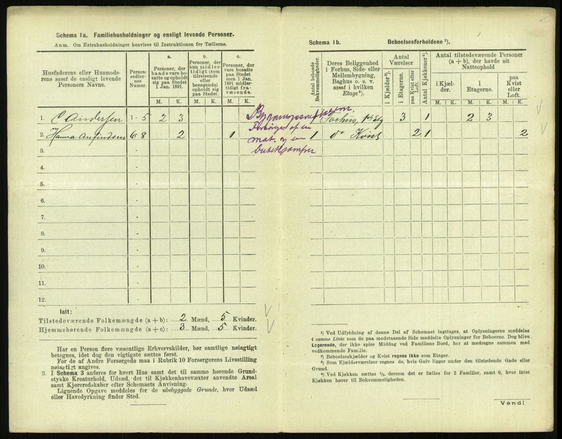 RA, 1891 census for 0903 Arendal, 1891, p. 207