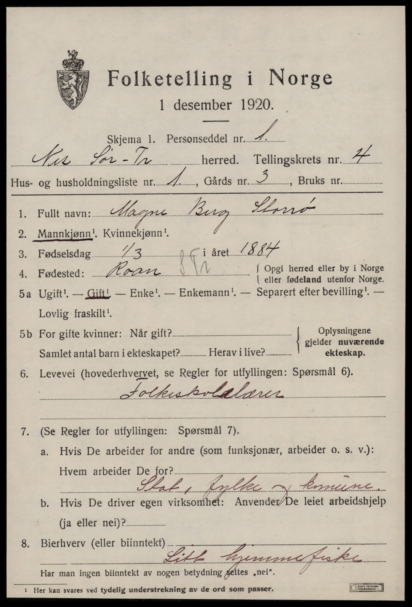 SAT, 1920 census for Nes (ST), 1920, p. 2133