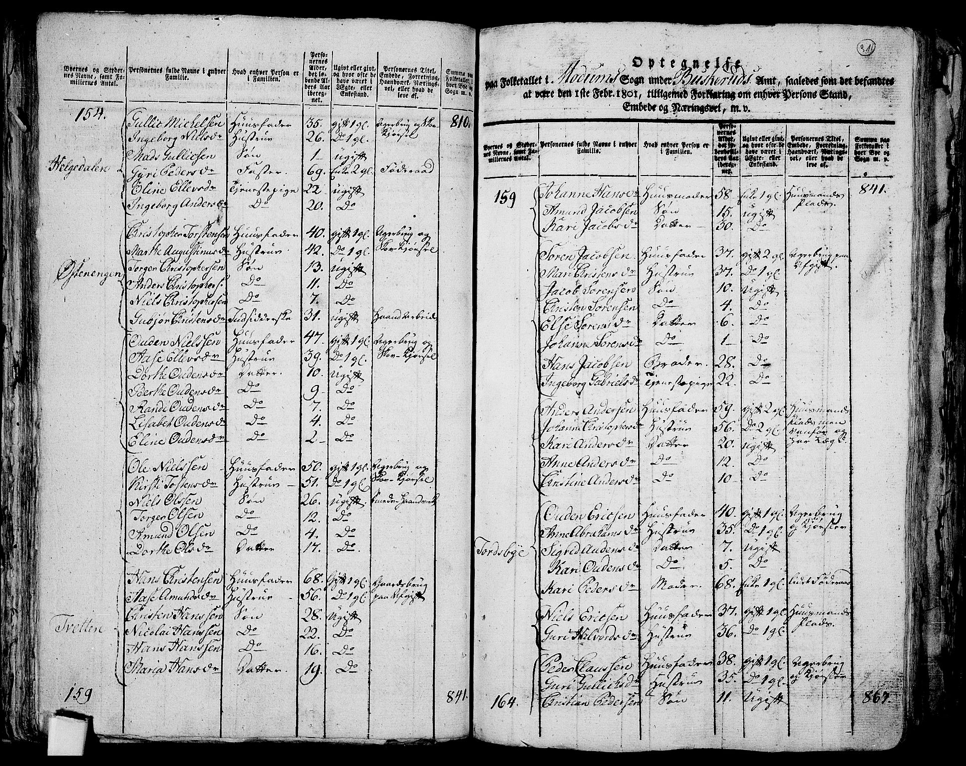 RA, 1801 census for 0623P Modum, 1801, p. 314b-315a