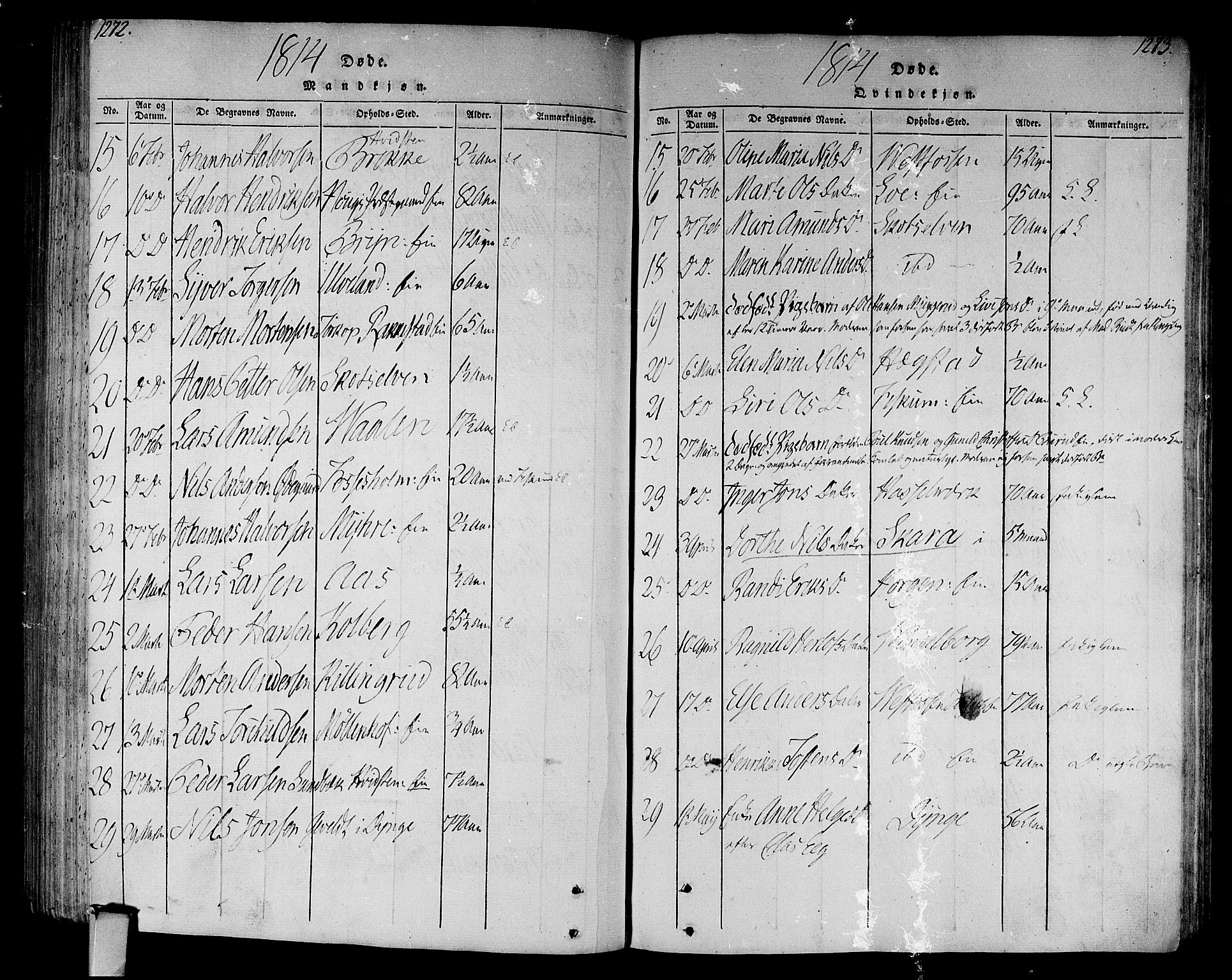 Eiker kirkebøker, AV/SAKO-A-4/F/Fa/L0010: Parish register (official) no. I 10, 1806-1815, p. 1272-1273