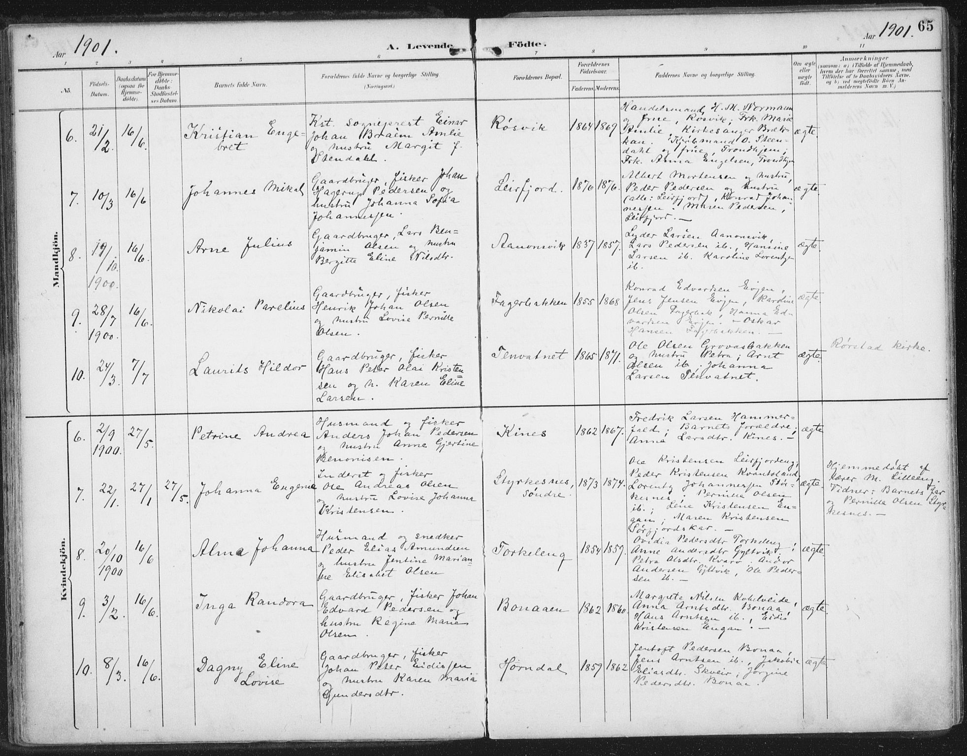 Ministerialprotokoller, klokkerbøker og fødselsregistre - Nordland, SAT/A-1459/854/L0779: Parish register (official) no. 854A02, 1892-1909, p. 65