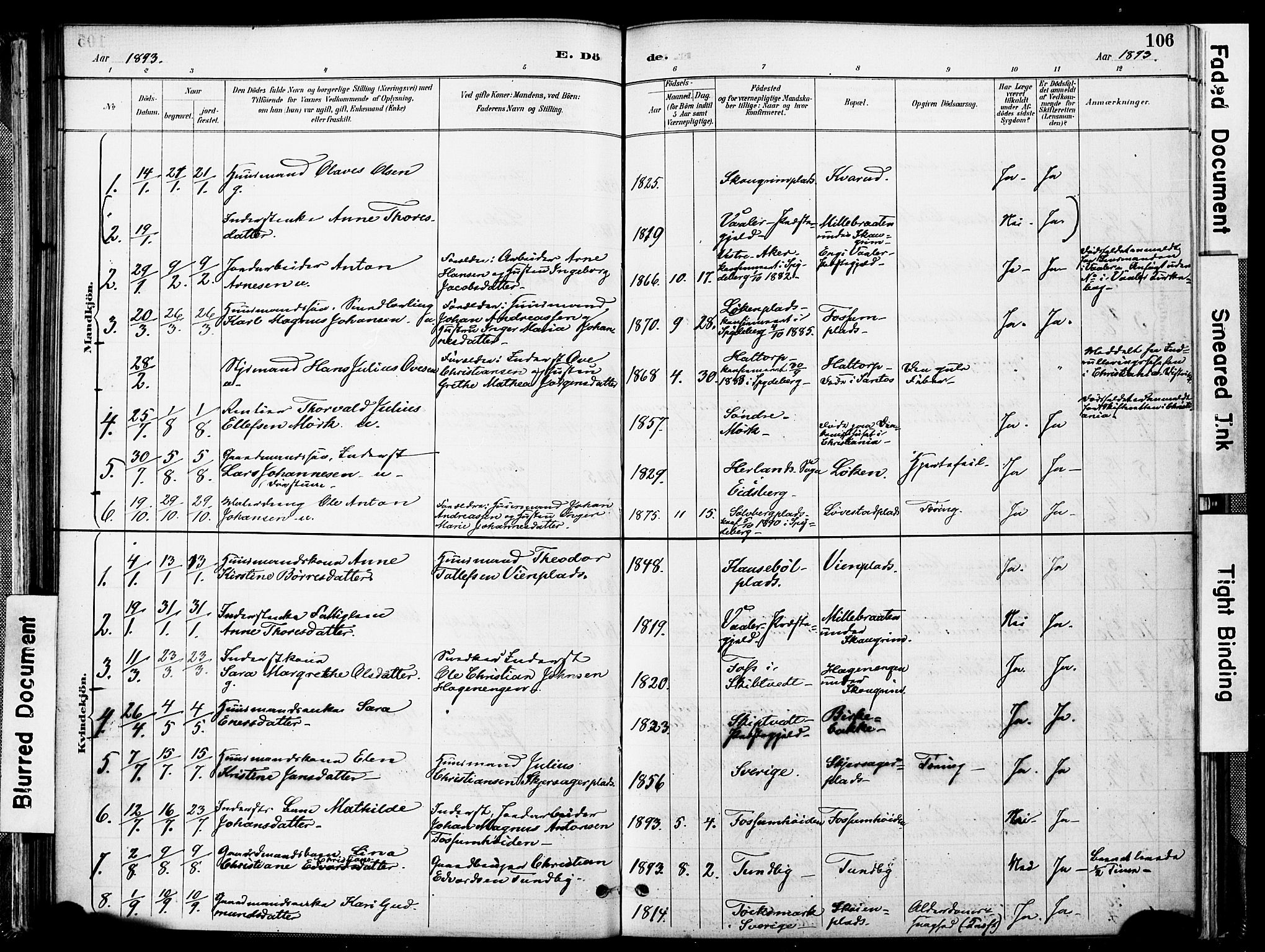 Spydeberg prestekontor Kirkebøker, AV/SAO-A-10924/F/Fa/L0008: Parish register (official) no. I 8, 1886-1900, p. 106