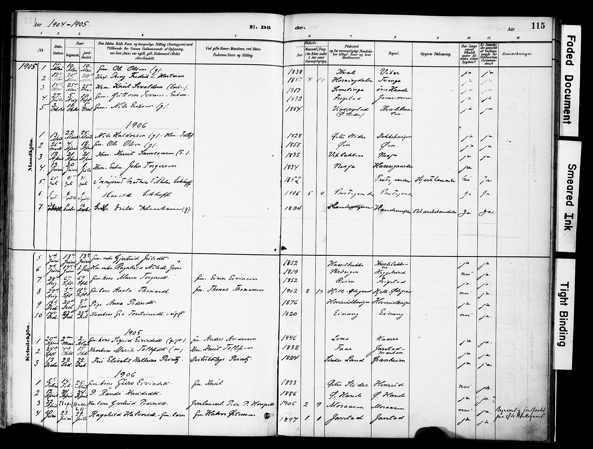 Vestre Slidre prestekontor, SAH/PREST-136/H/Ha/Haa/L0004: Parish register (official) no. 4, 1881-1911, p. 115