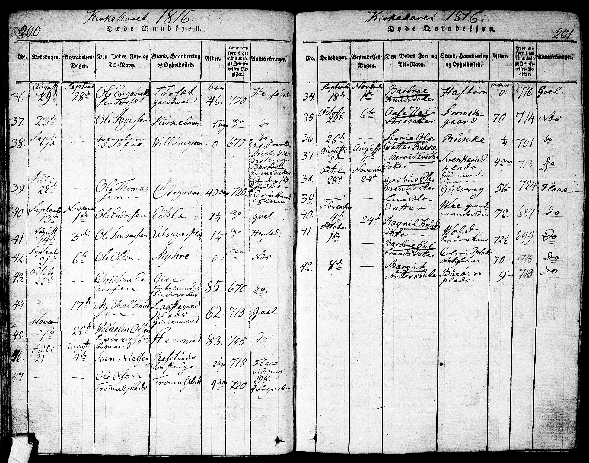 Nes kirkebøker, AV/SAKO-A-236/F/Fa/L0007: Parish register (official) no. 7, 1815-1823, p. 200-201