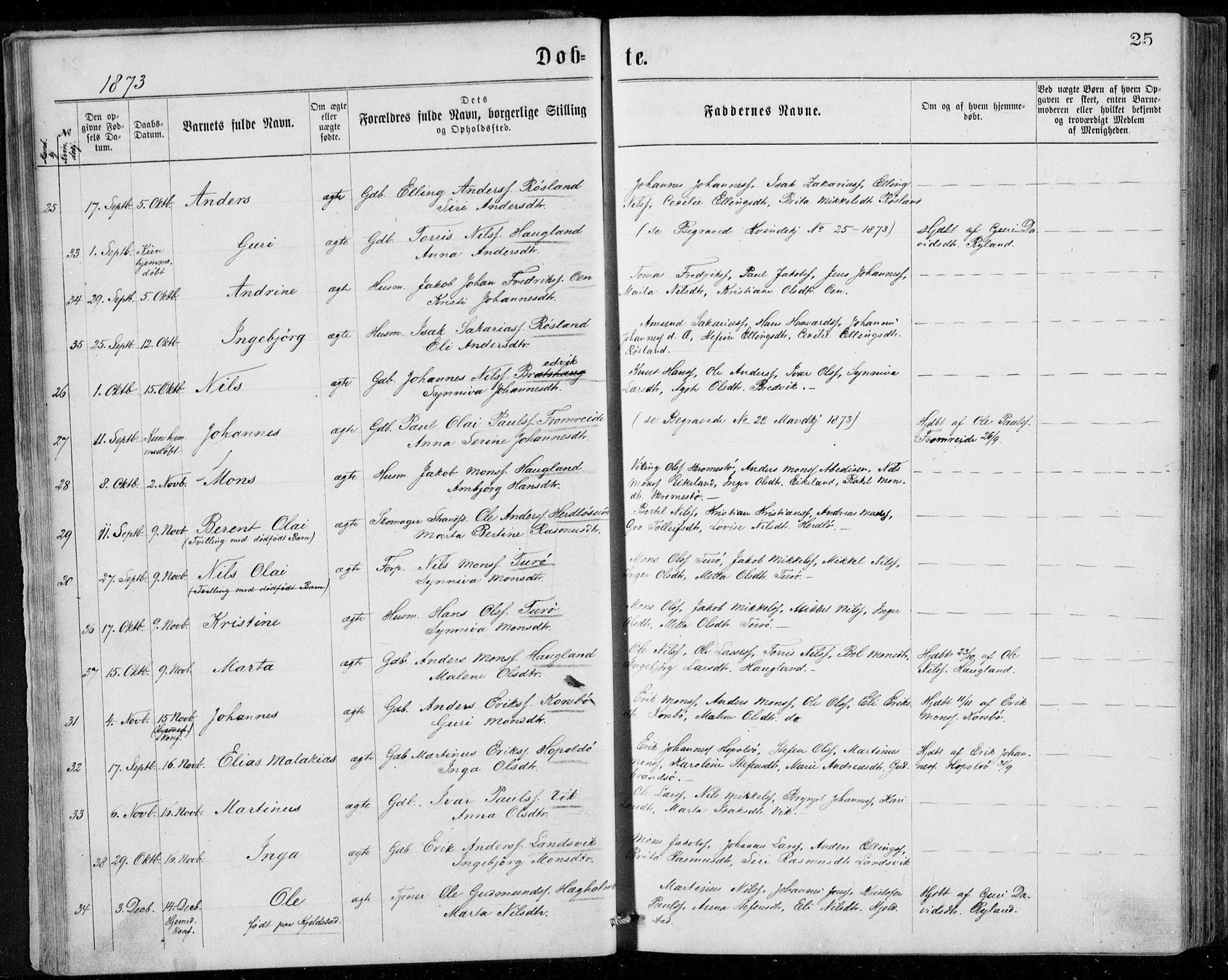 Herdla Sokneprestembete, AV/SAB-A-75701/H/Haa: Parish register (official) no. A 2, 1869-1877, p. 25