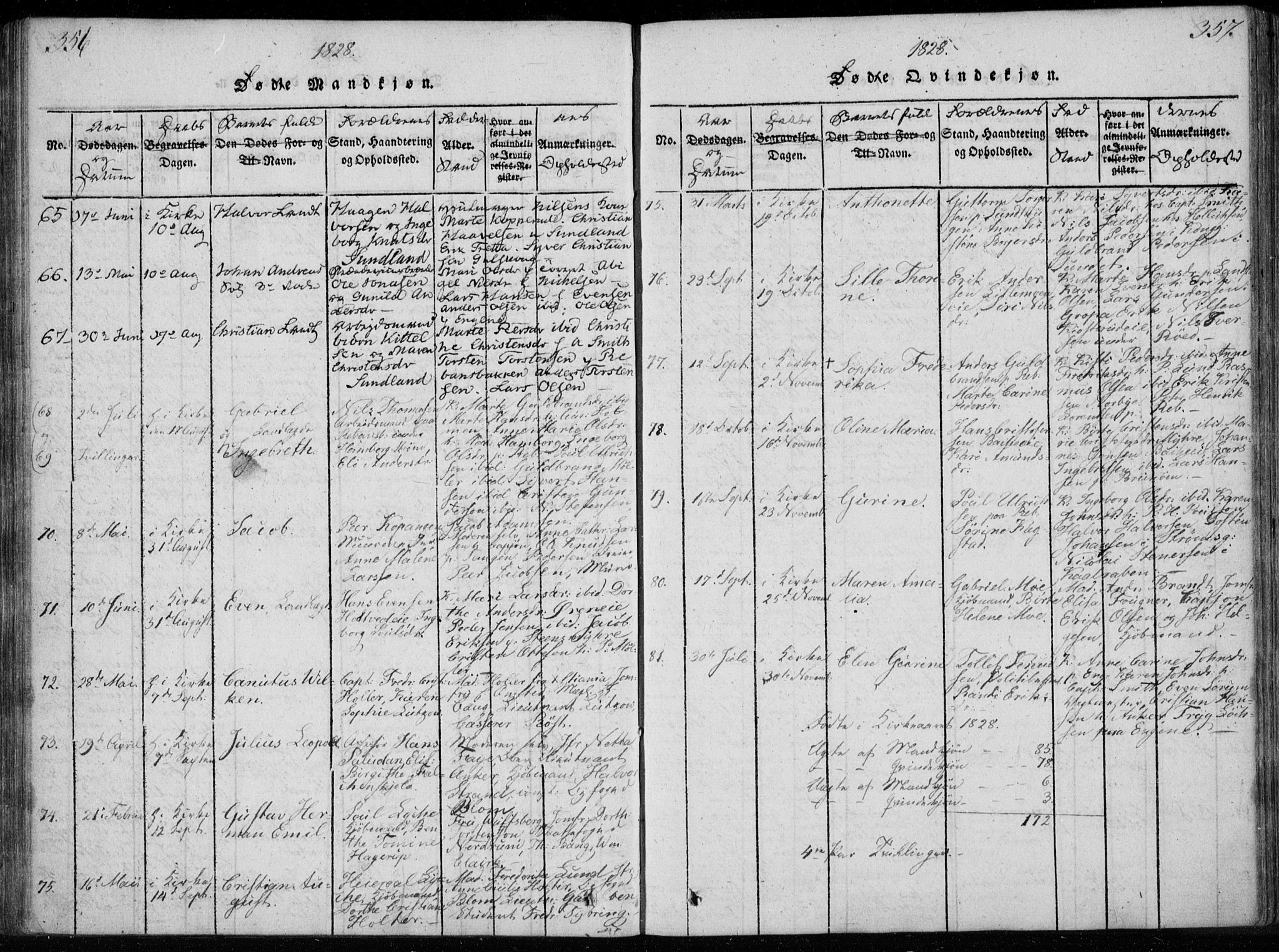 Bragernes kirkebøker, AV/SAKO-A-6/F/Fa/L0007: Parish register (official) no. I 7, 1815-1829, p. 356-357