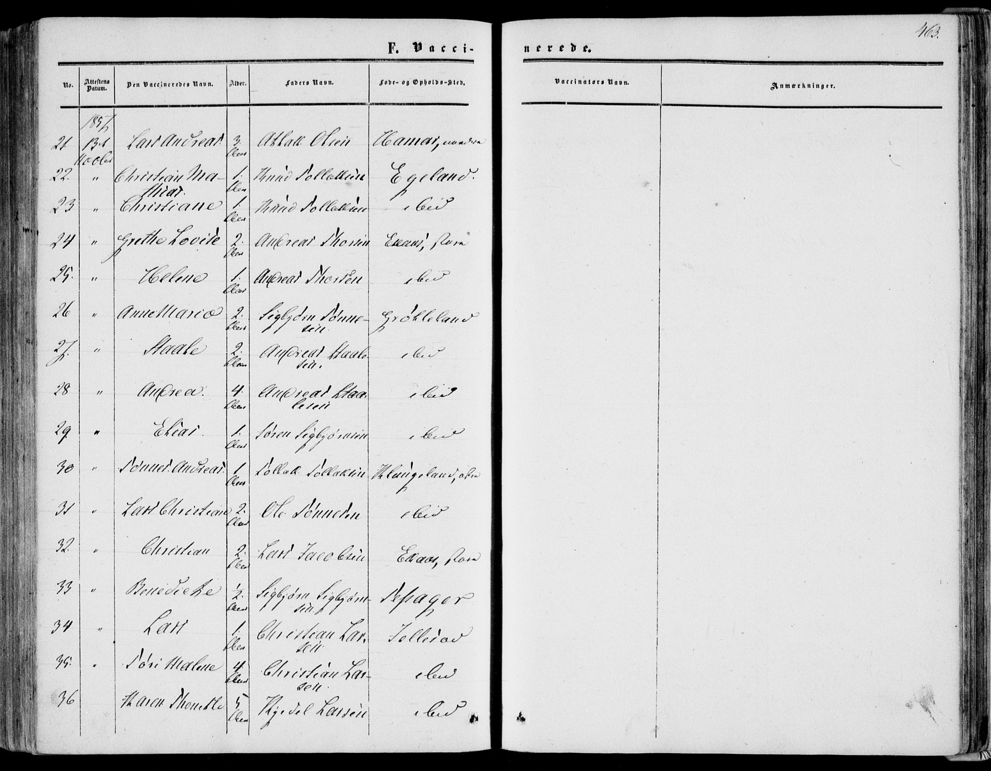 Bakke sokneprestkontor, AV/SAK-1111-0002/F/Fa/Fab/L0002: Parish register (official) no. A 2, 1855-1884, p. 463