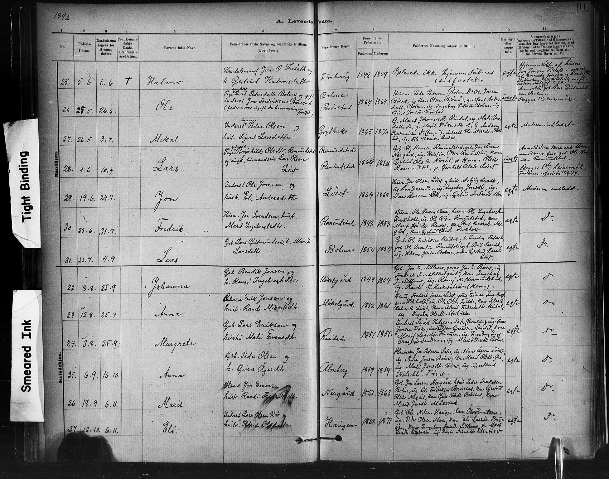 Ministerialprotokoller, klokkerbøker og fødselsregistre - Møre og Romsdal, SAT/A-1454/598/L1069: Parish register (official) no. 598A03, 1882-1895, p. 91