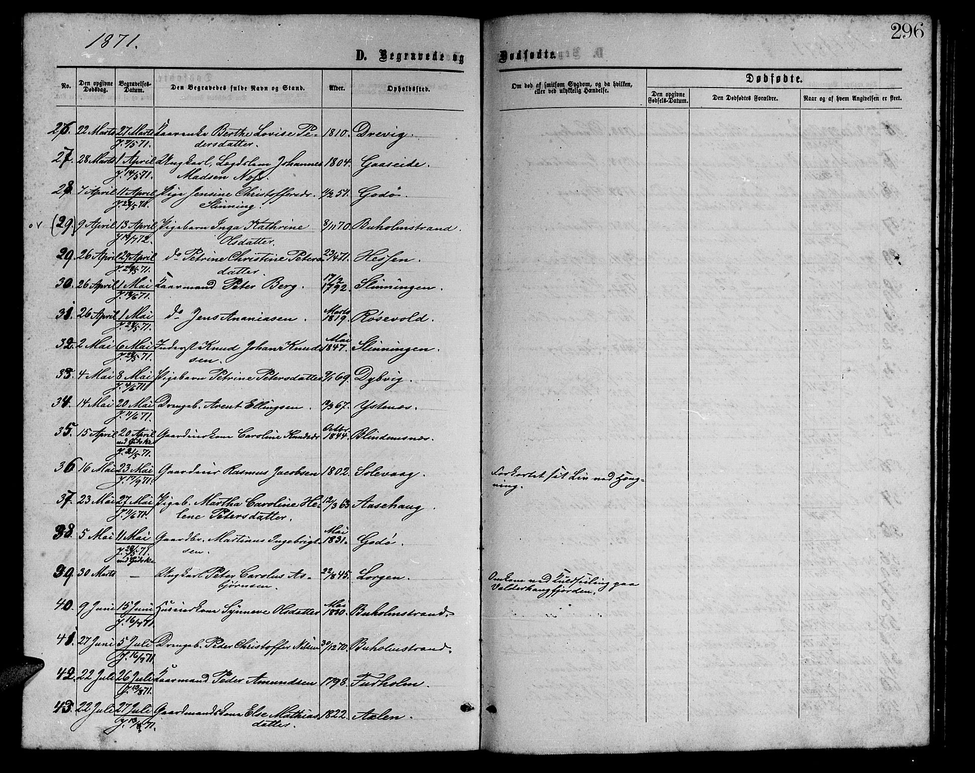 Ministerialprotokoller, klokkerbøker og fødselsregistre - Møre og Romsdal, AV/SAT-A-1454/528/L0428: Parish register (copy) no. 528C09, 1864-1880, p. 296