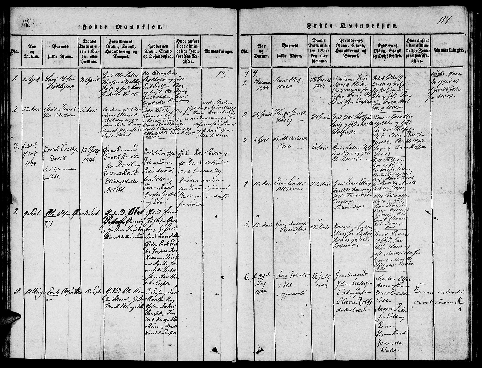 Ministerialprotokoller, klokkerbøker og fødselsregistre - Møre og Romsdal, SAT/A-1454/543/L0561: Parish register (official) no. 543A01, 1818-1853, p. 116-117