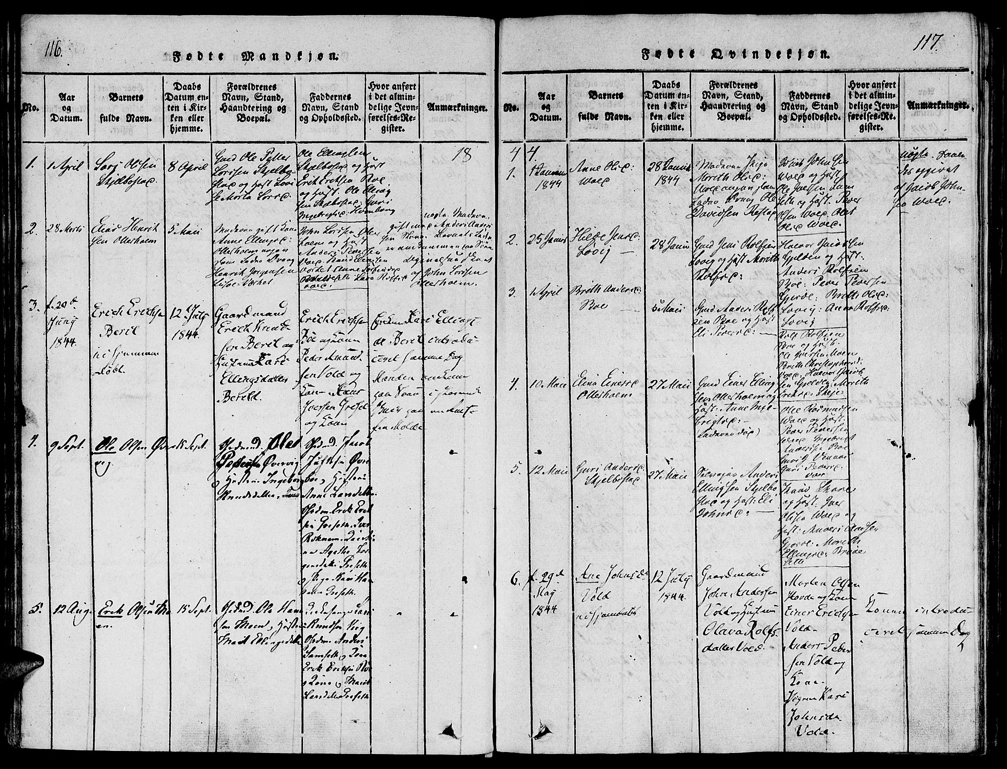 Ministerialprotokoller, klokkerbøker og fødselsregistre - Møre og Romsdal, AV/SAT-A-1454/543/L0561: Parish register (official) no. 543A01, 1818-1853, p. 116-117